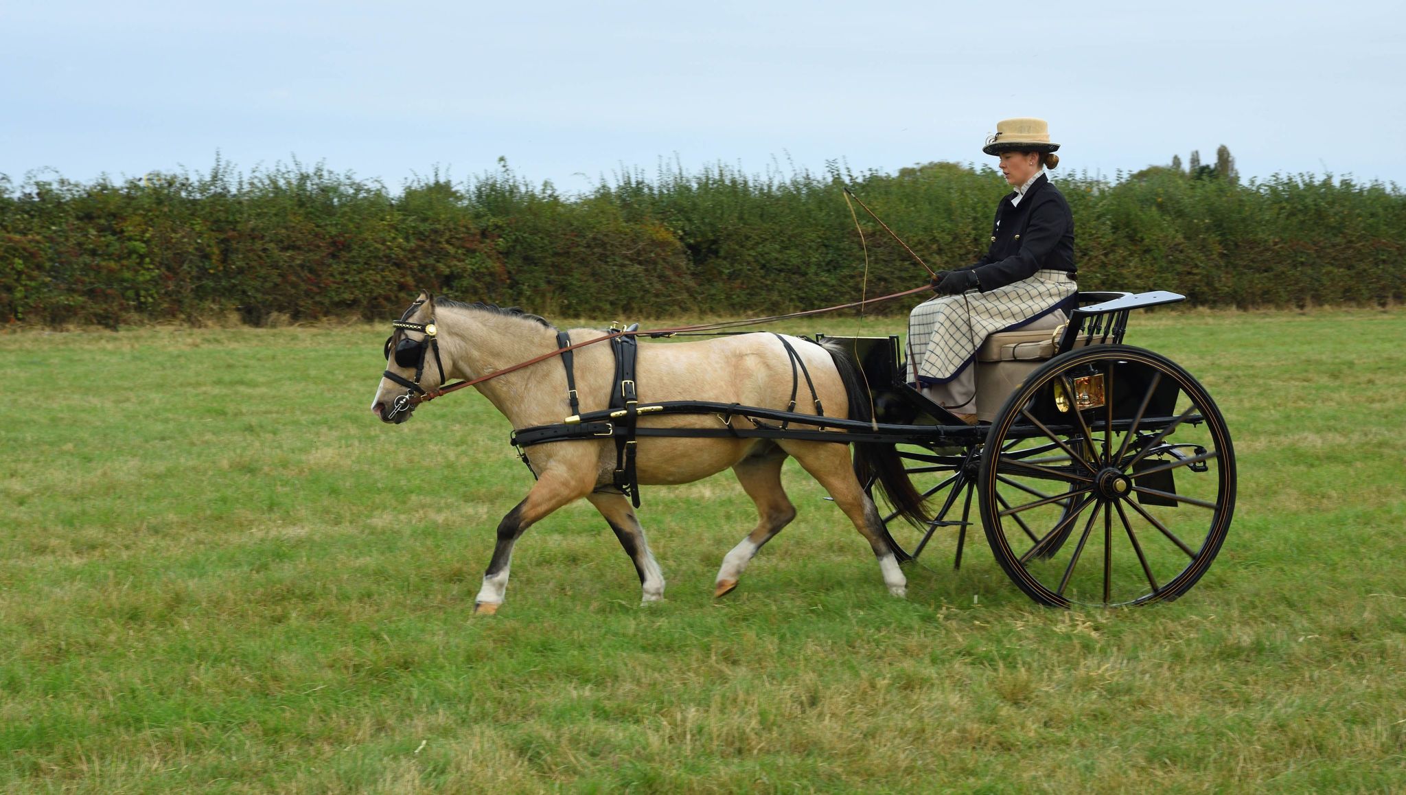 cambridgeshire healthcare