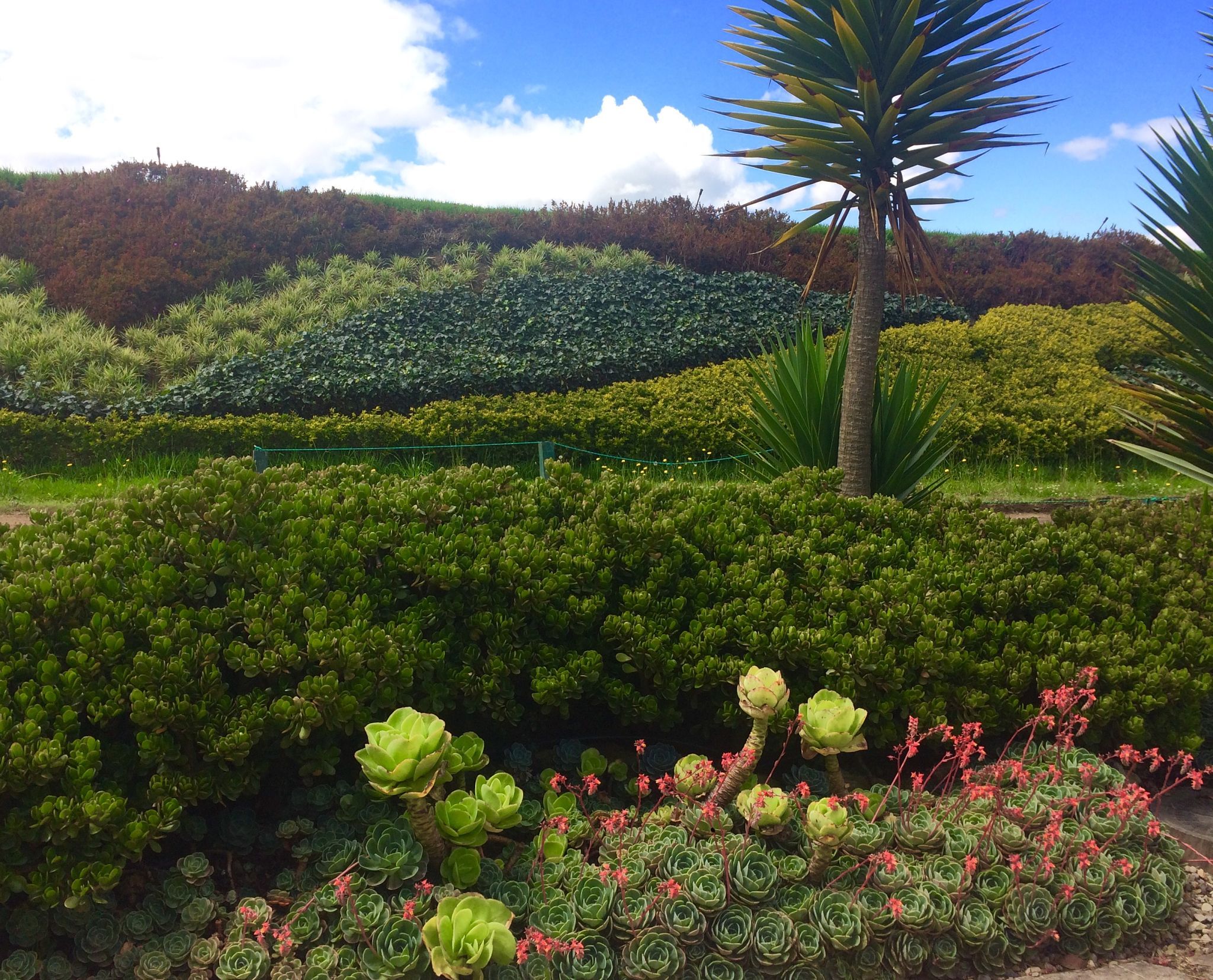 manukau garden