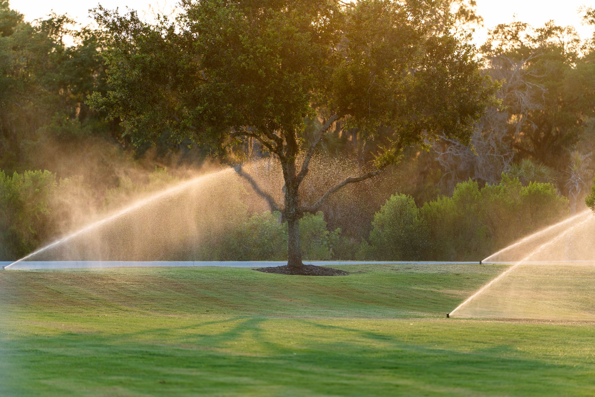 sprinkler system