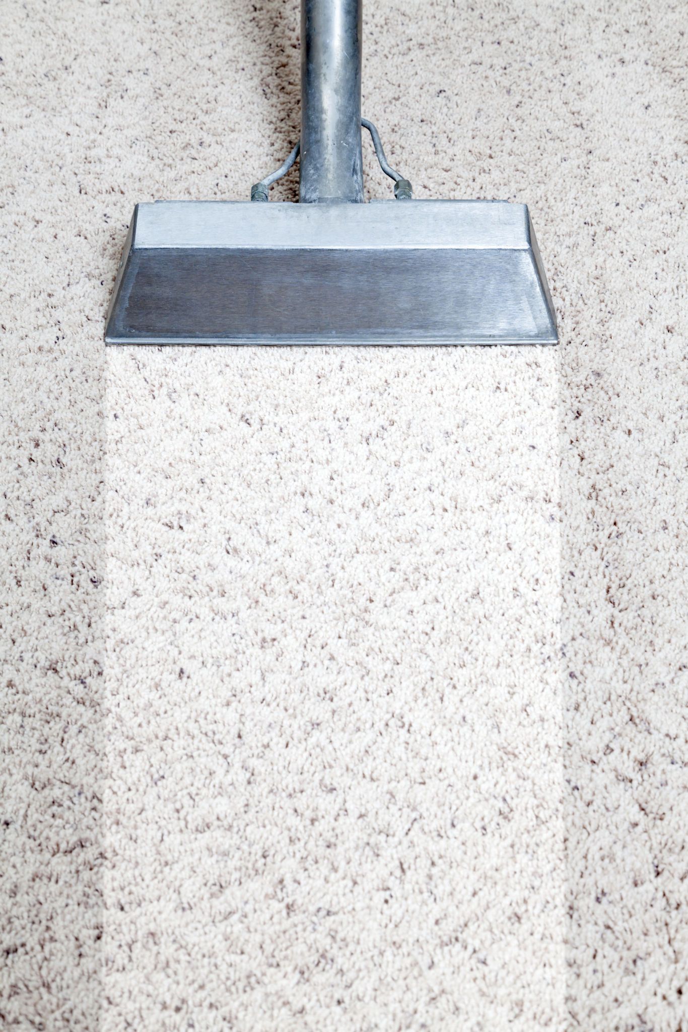 carpet steam cleaning