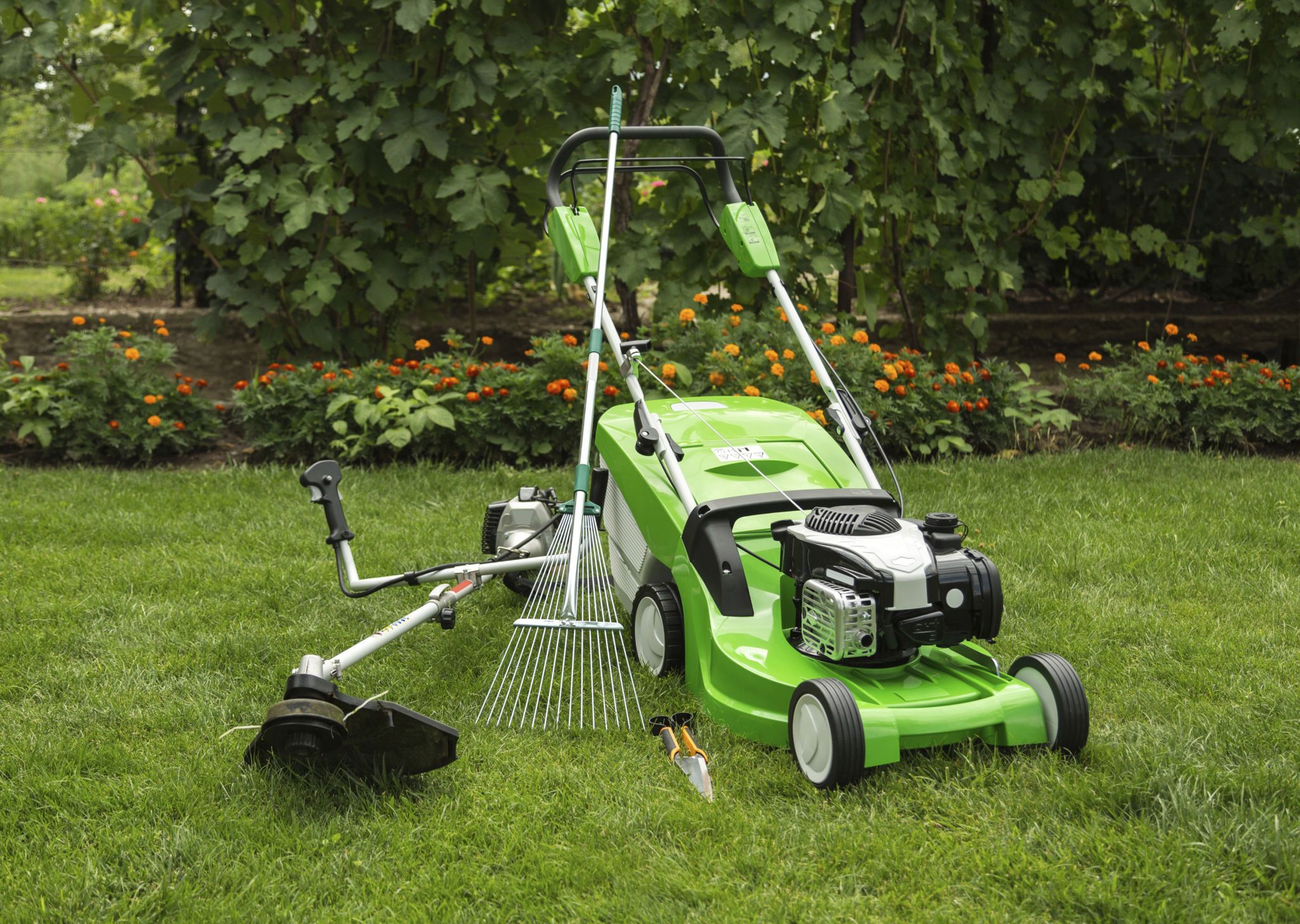 lawn maintenance tools