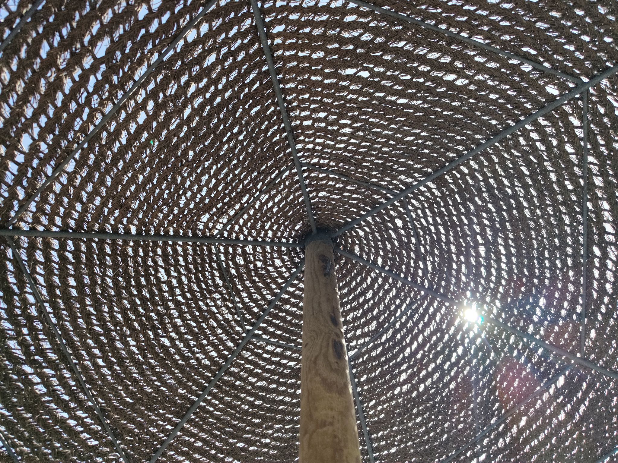 sunlight protection art