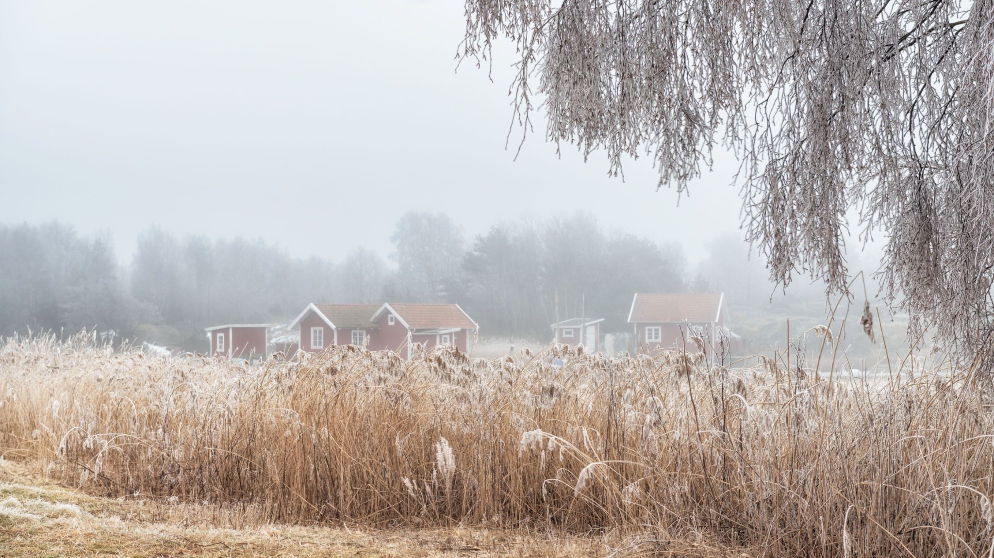 seasonal business Västra Götaland