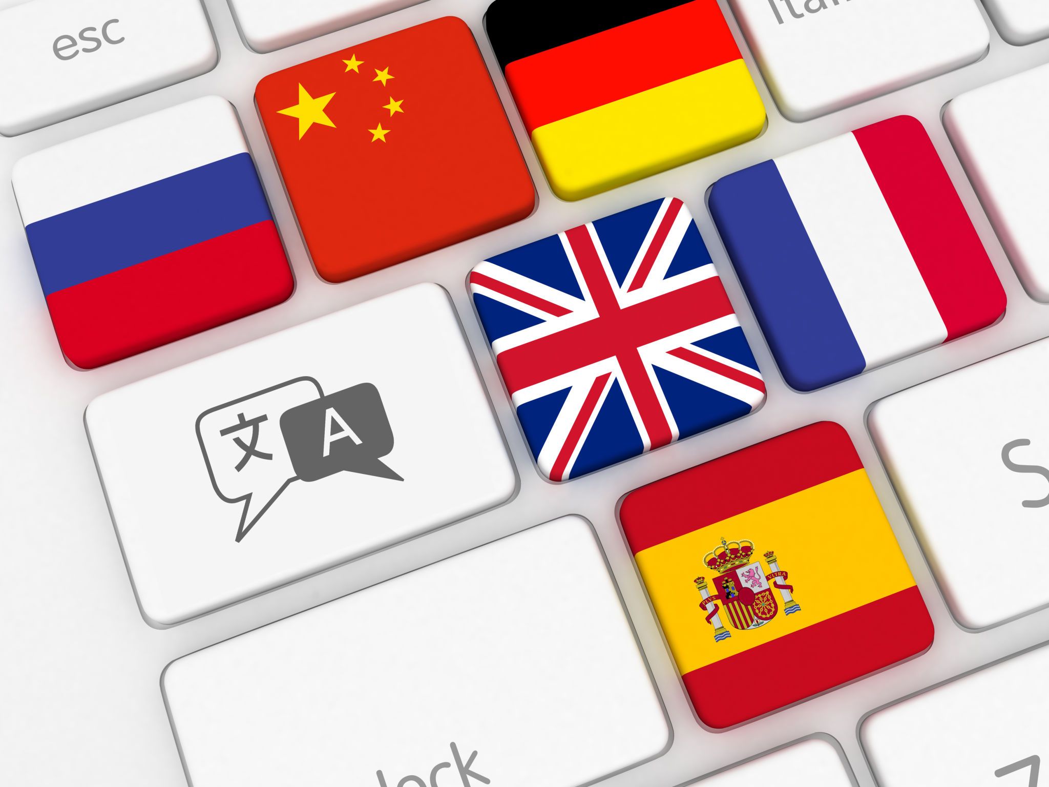 language progress tracking