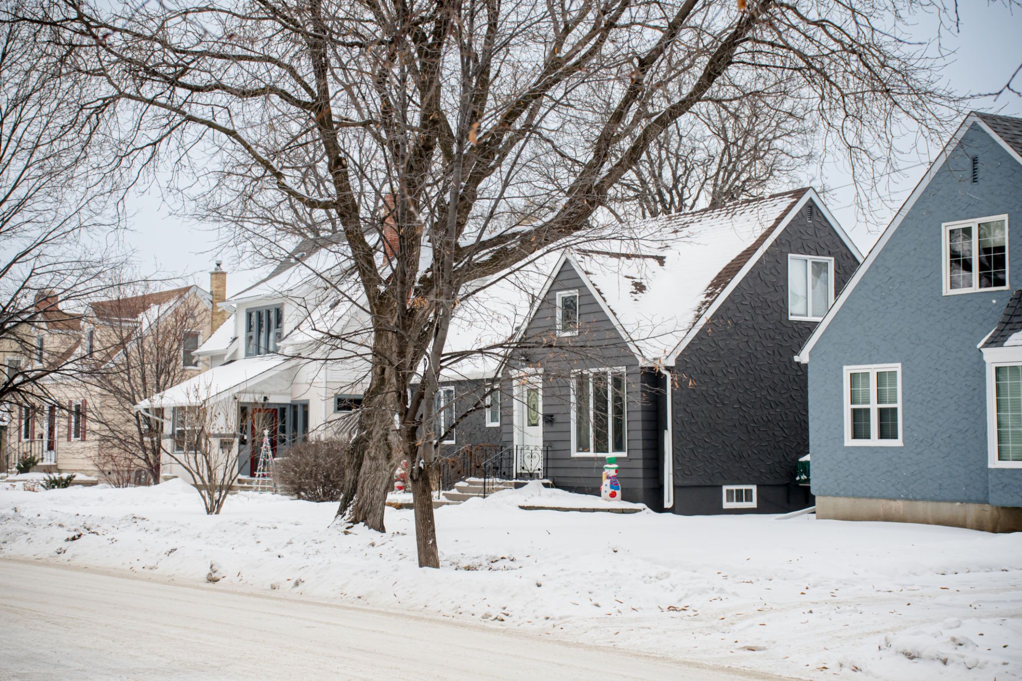 winnipeg homes