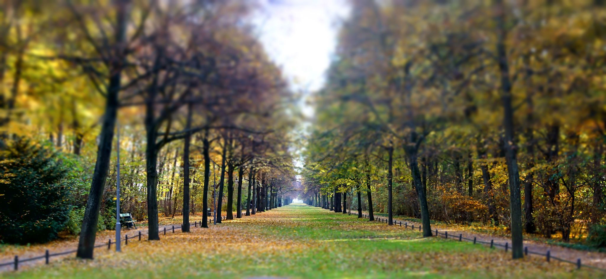 berlin autumn park
