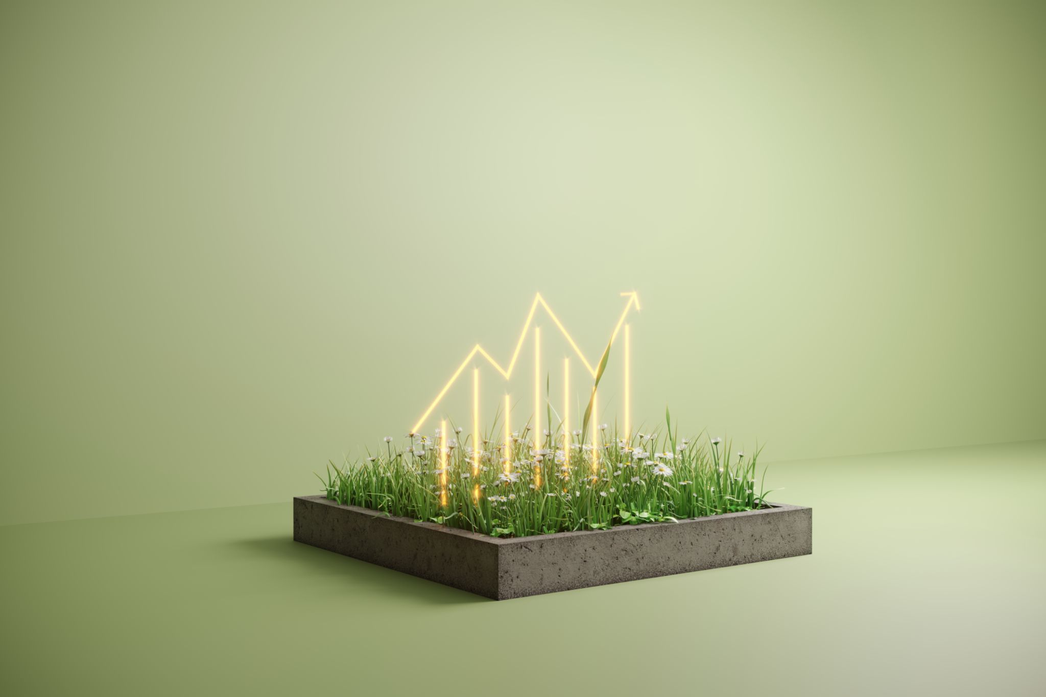 sustainable investment