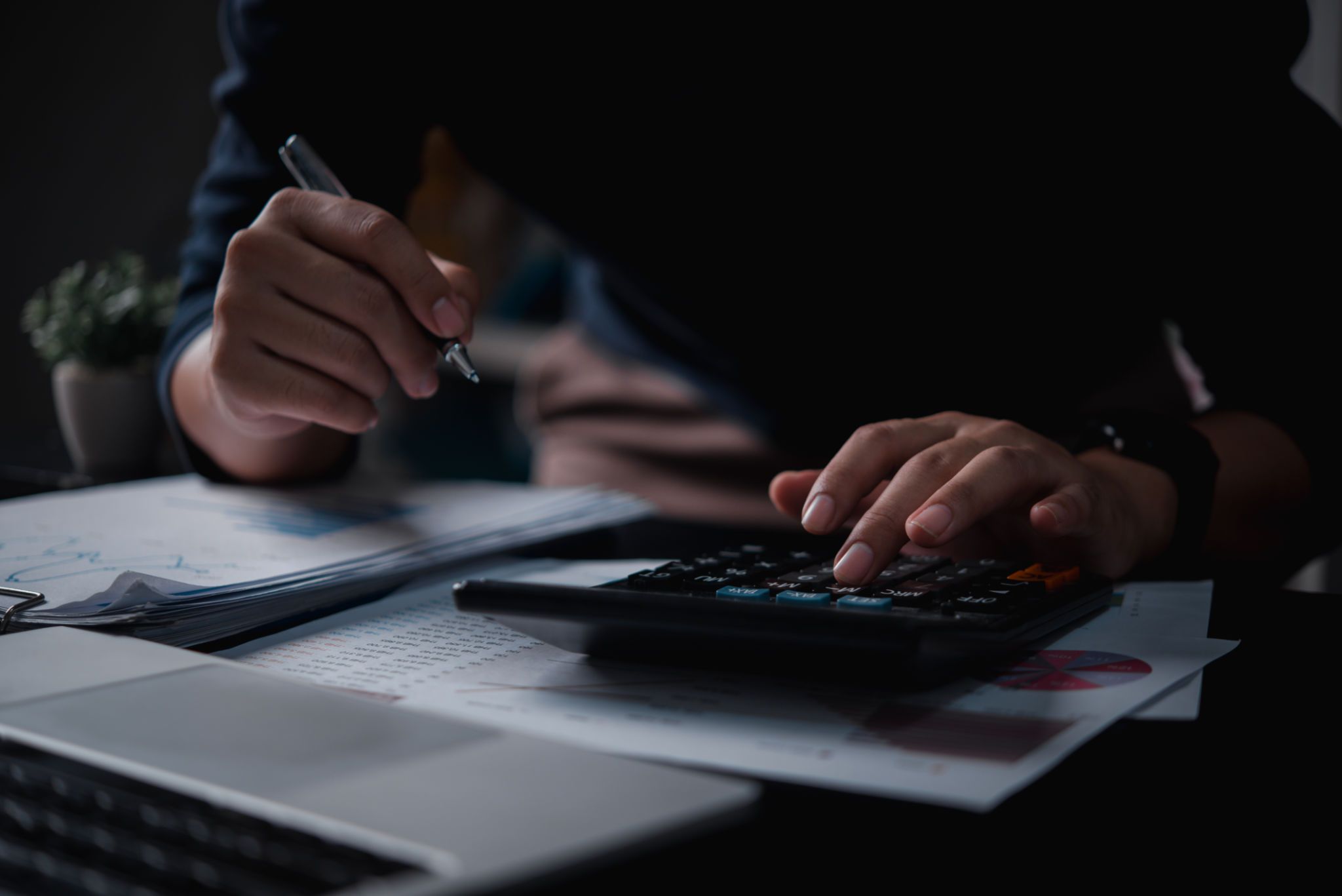 tax audit