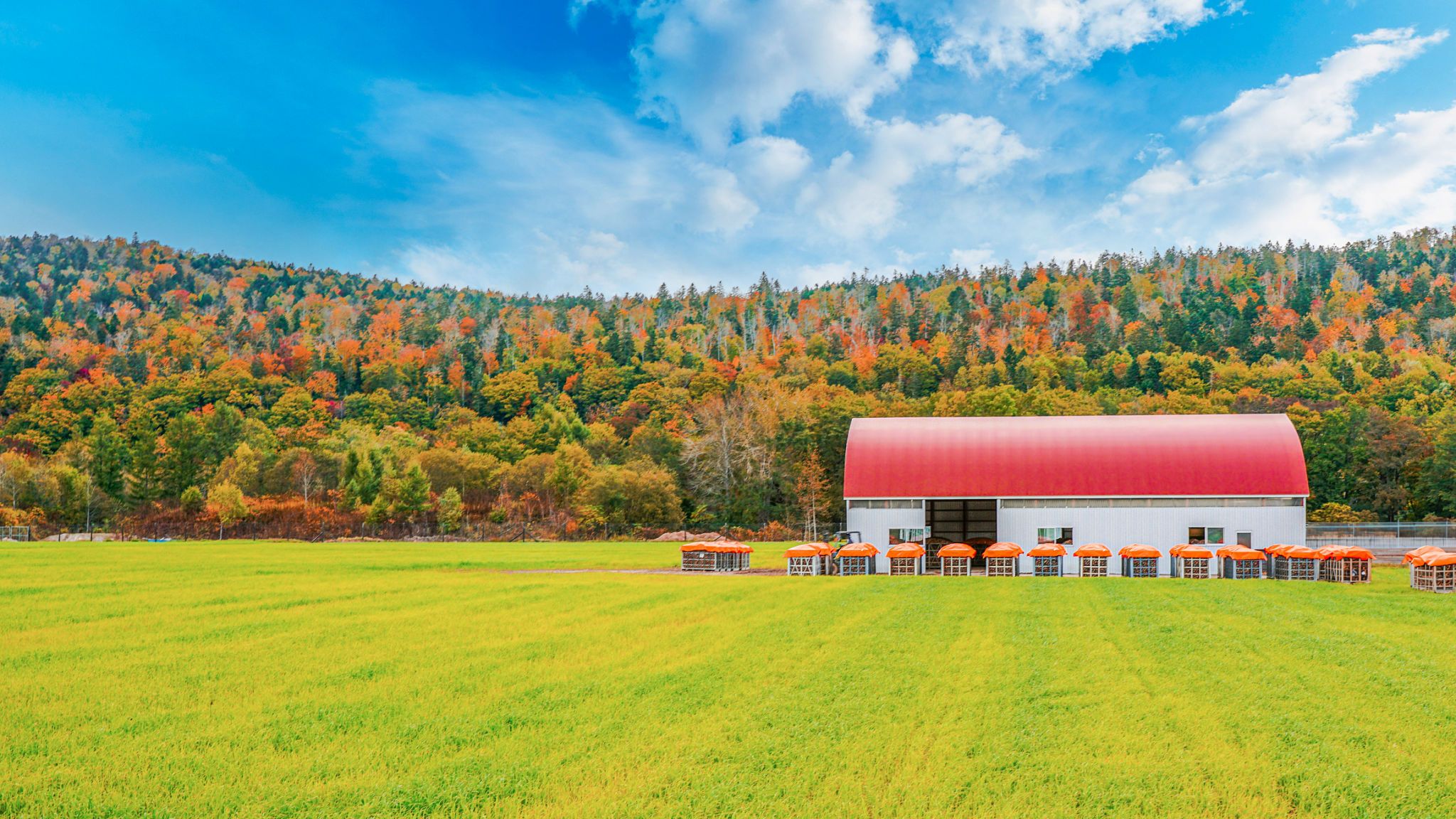 fall barn preparation