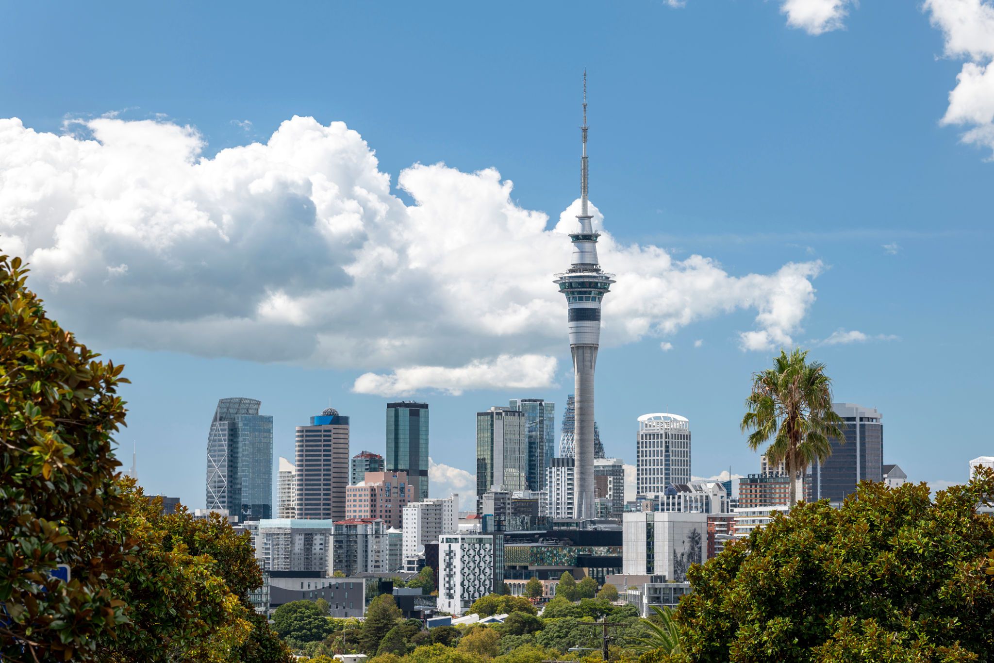 auckland skyline