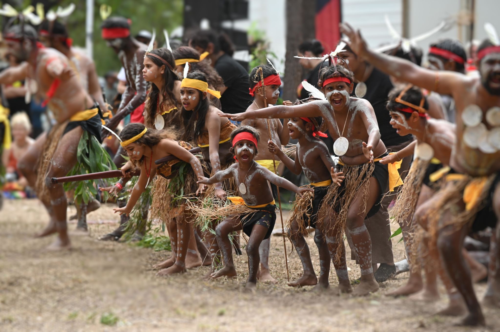 martial arts community