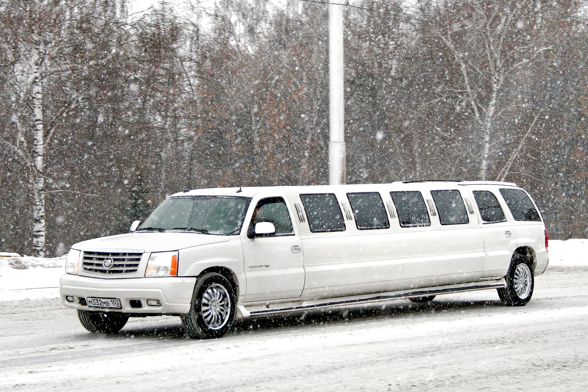 limousine winter