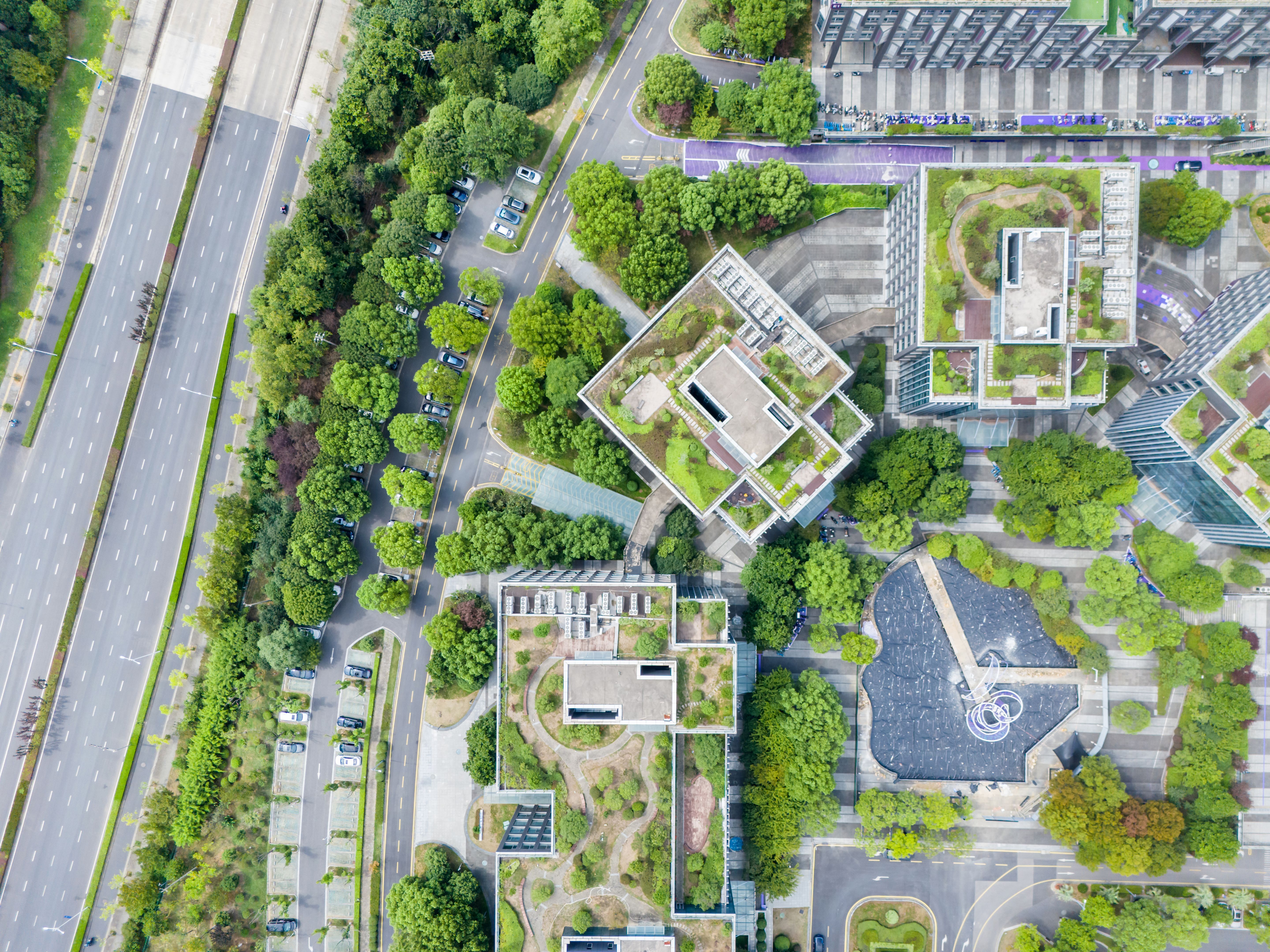 urban green infrastructure