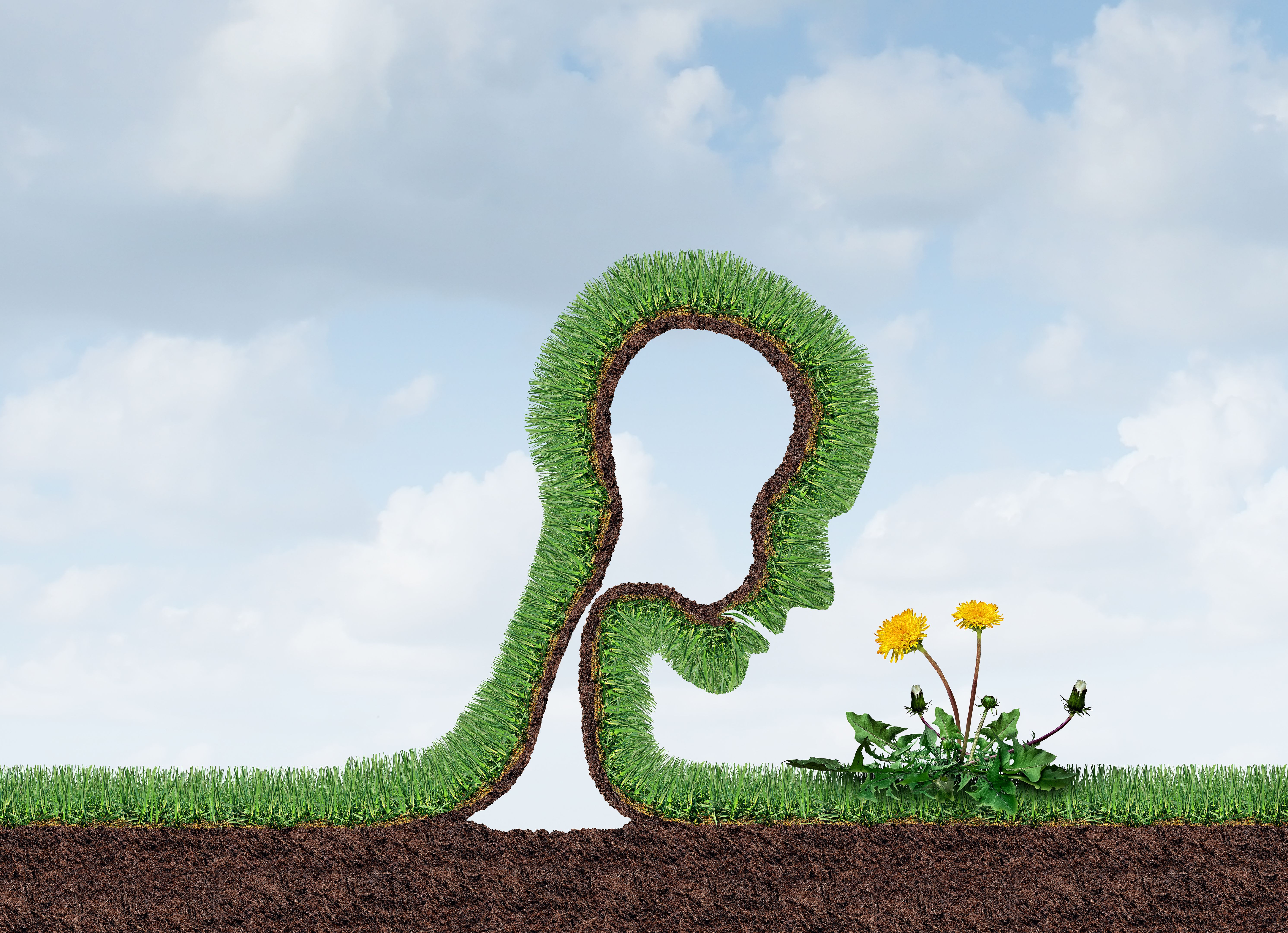 consulting horticulturist