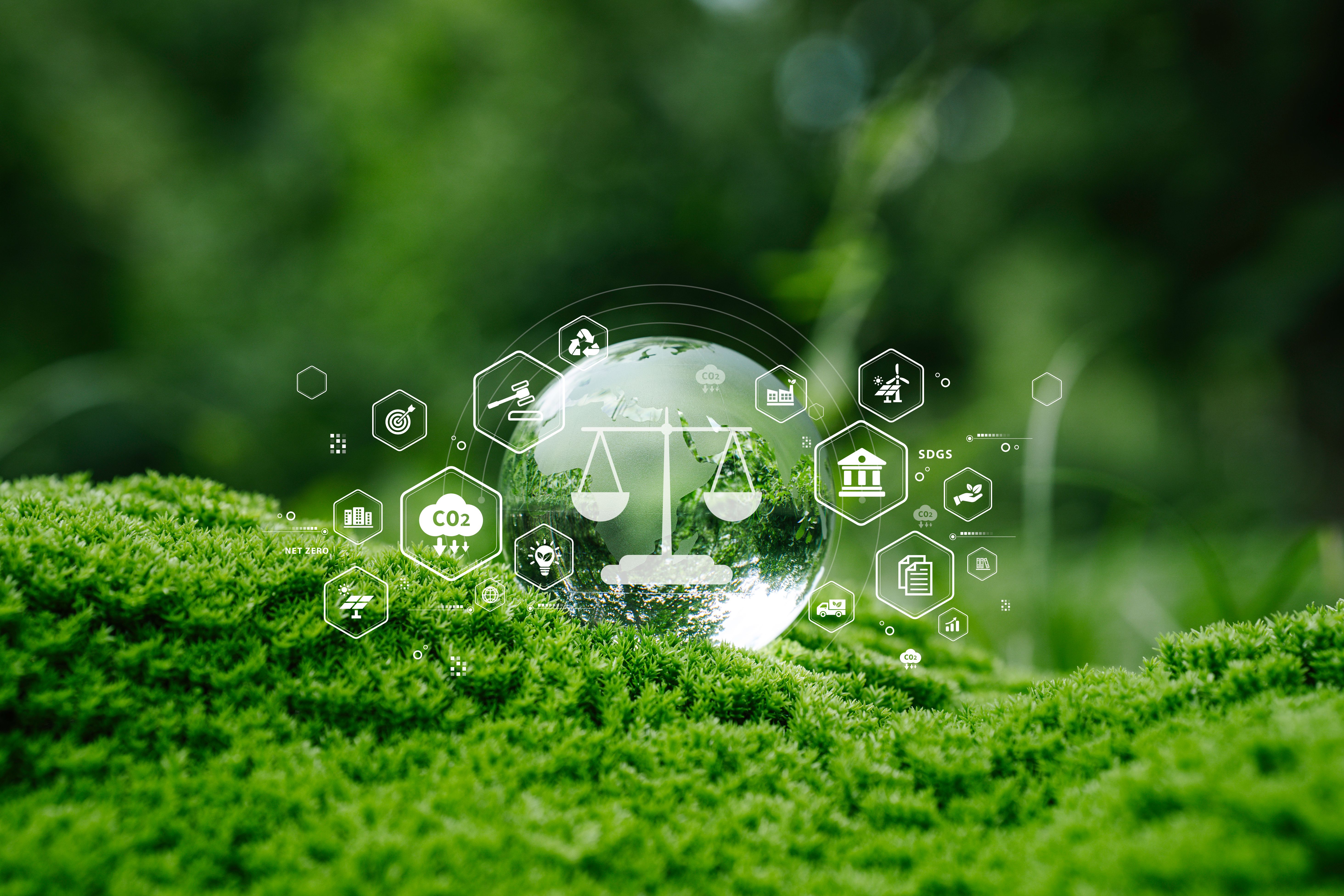 proyecto ambiental