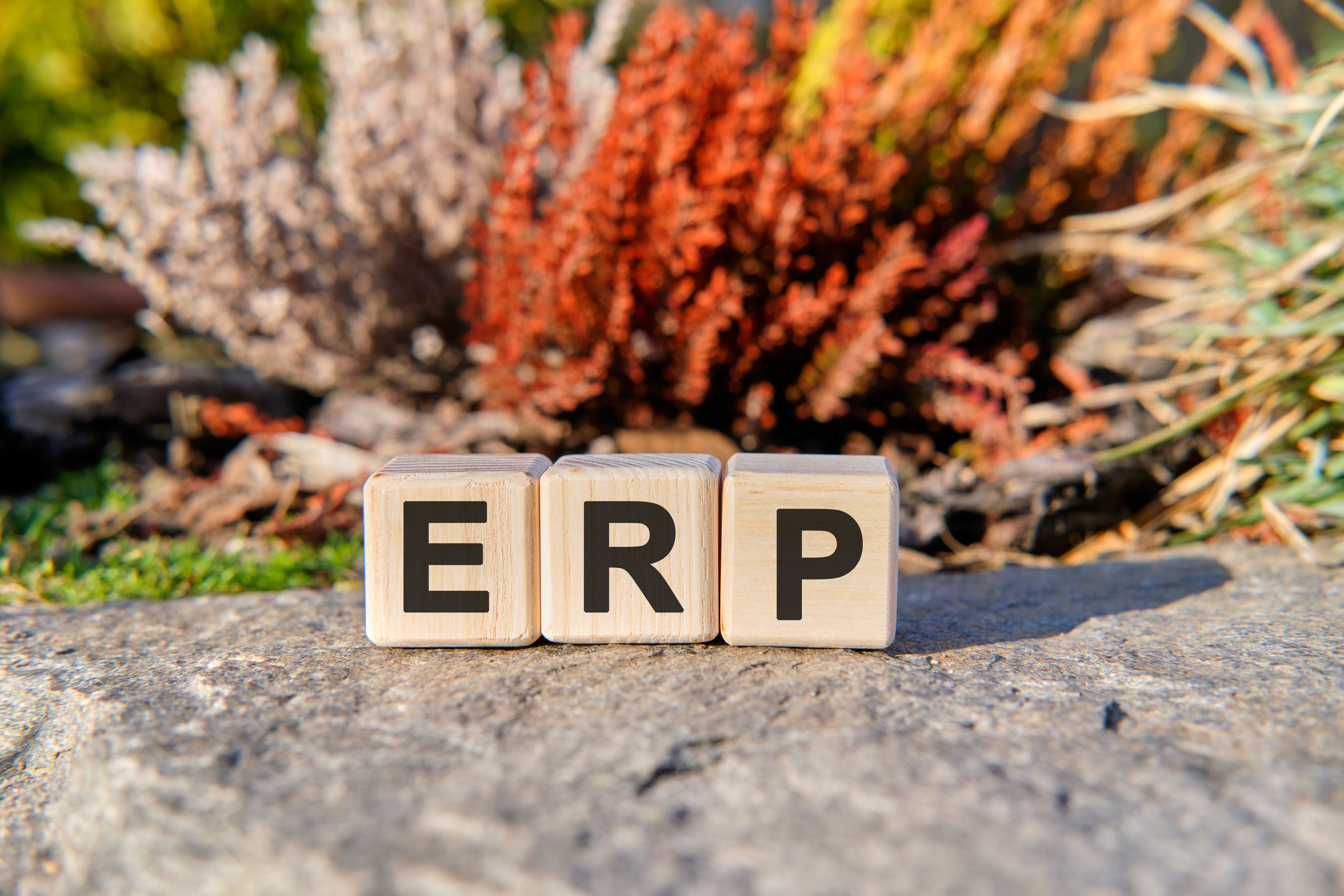erp challenges