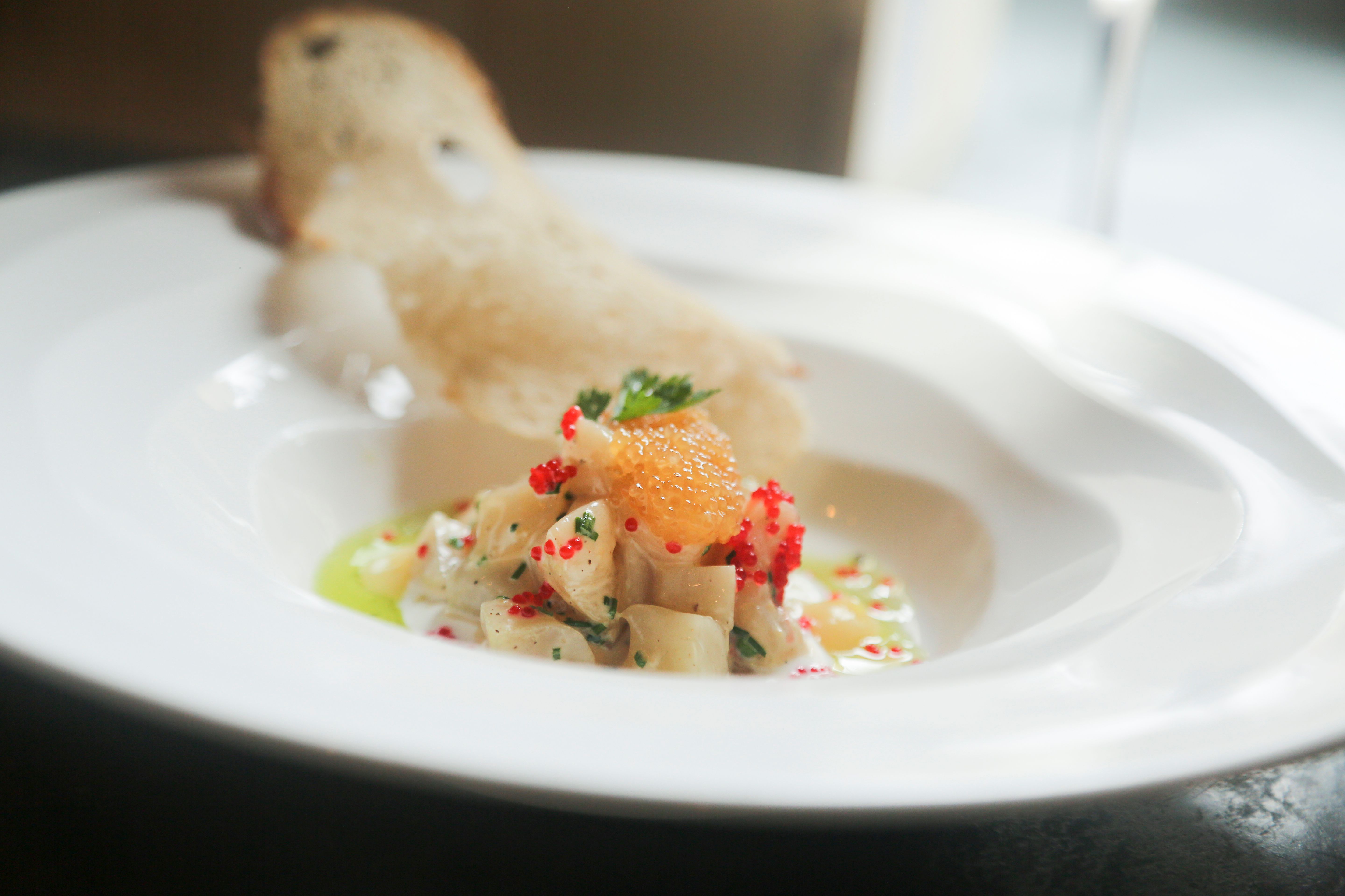 scallop ceviche
