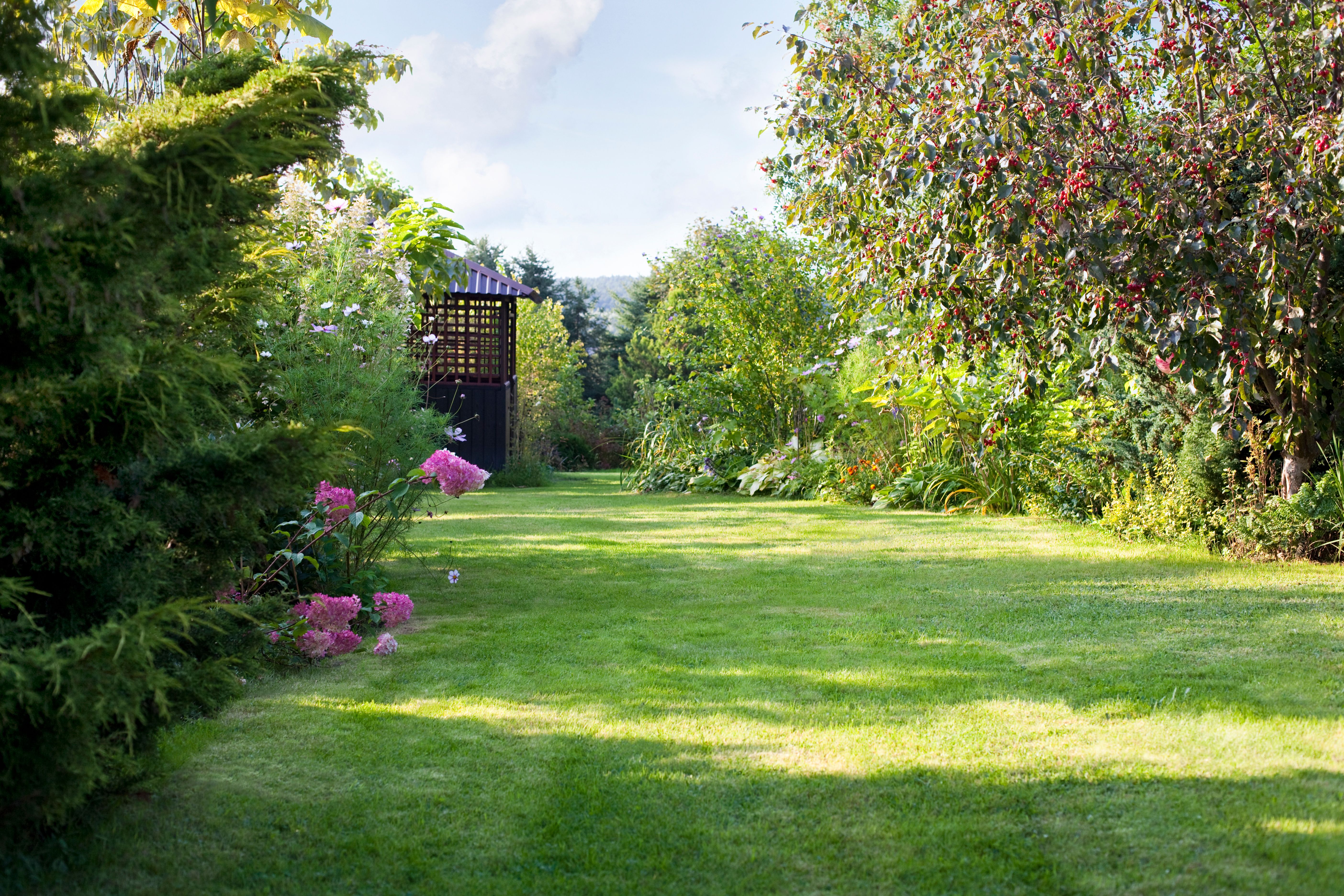 garden gazebo