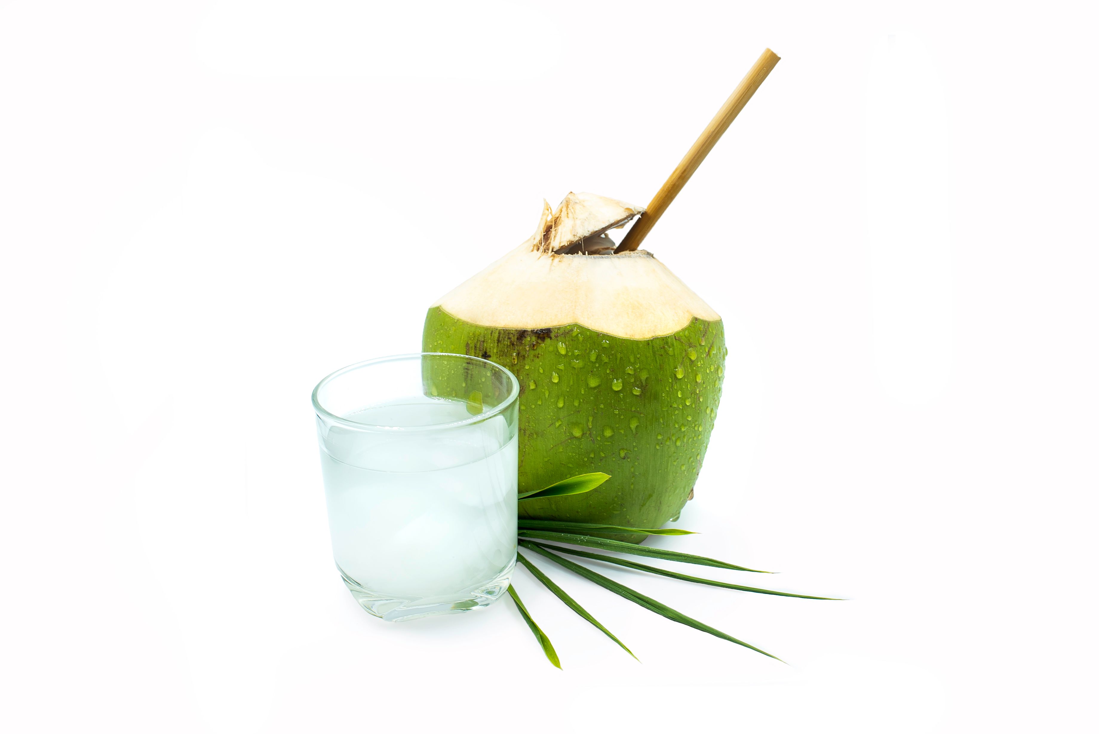coconut water hydration