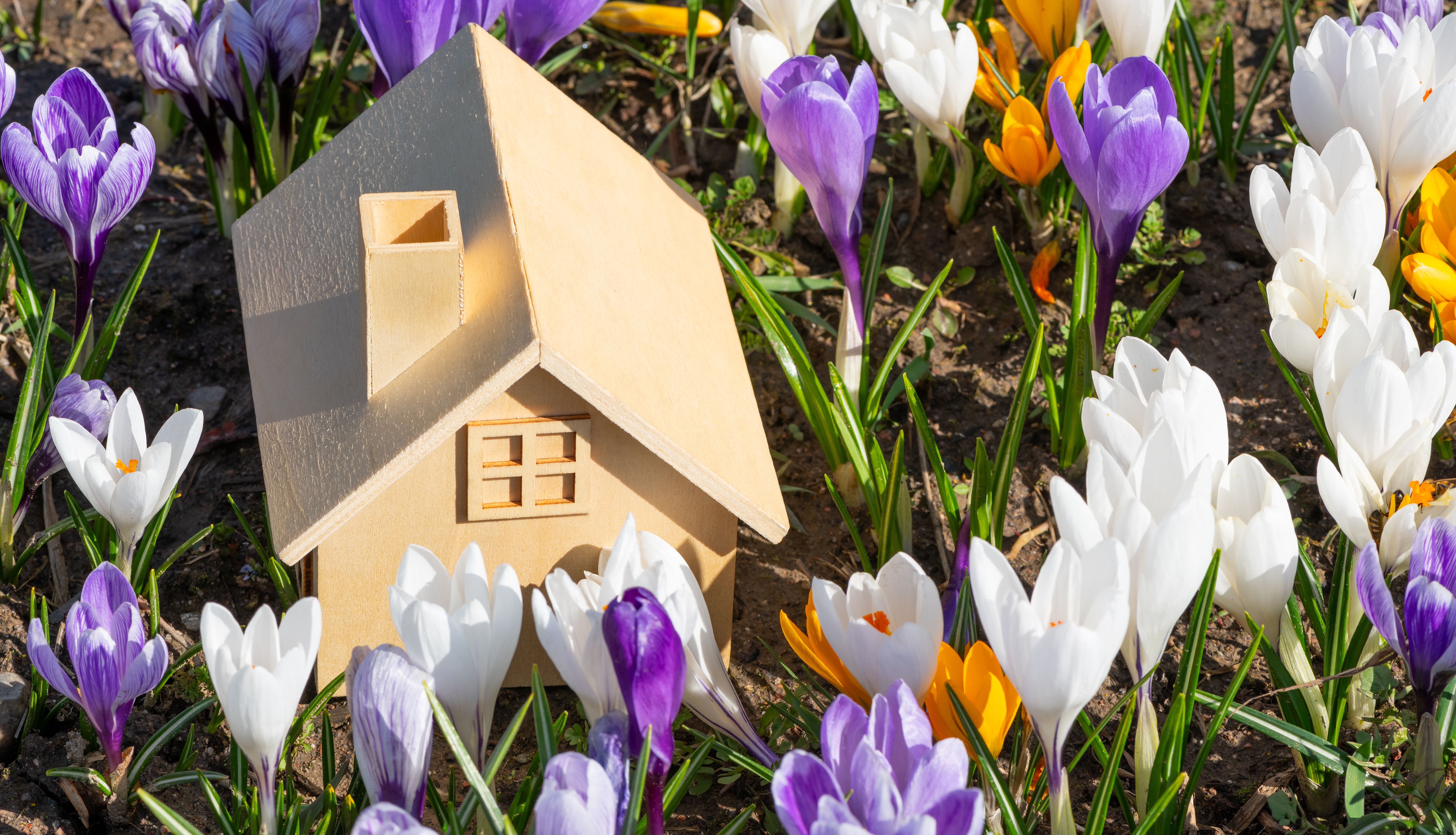 spring home buying