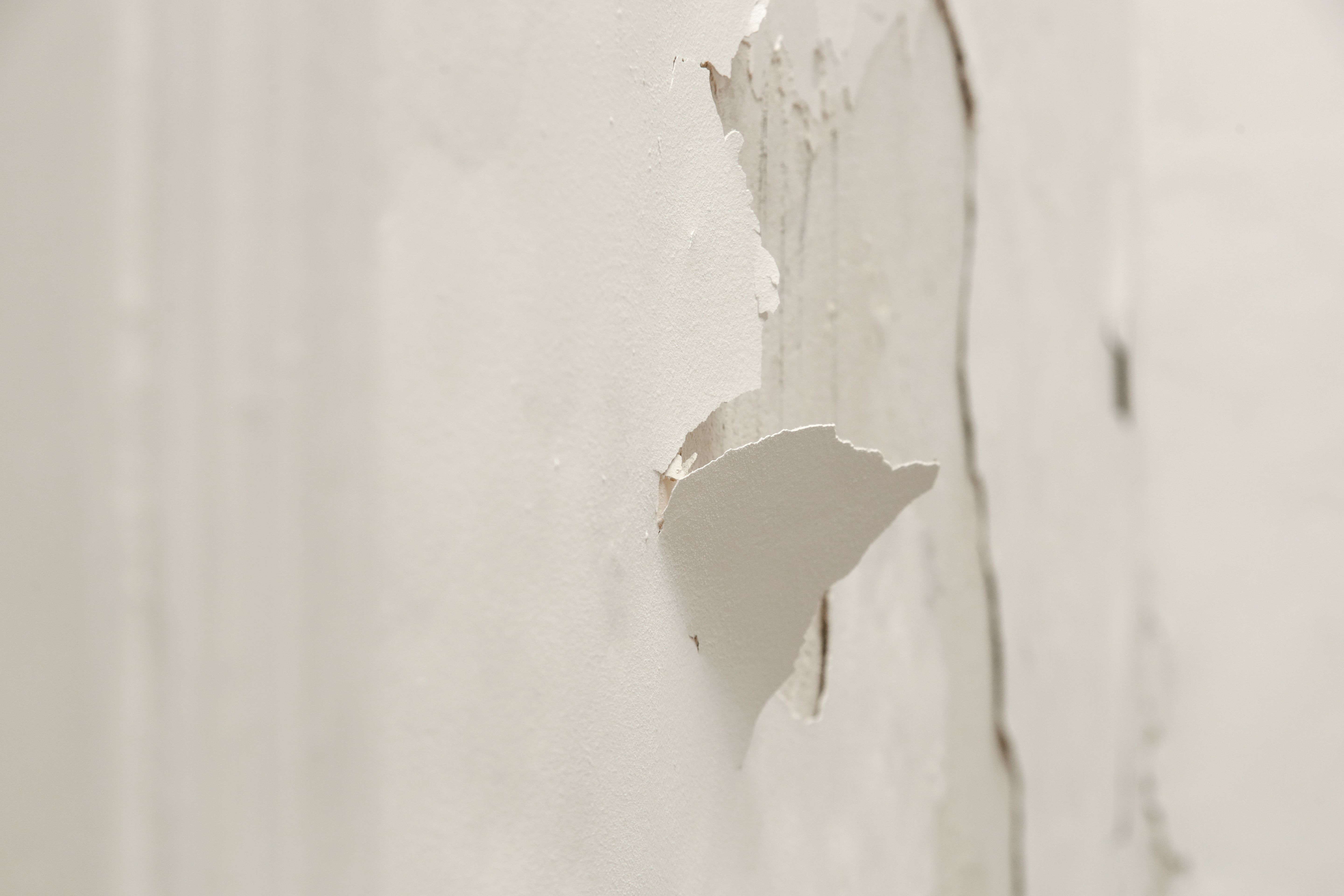 wall preparation