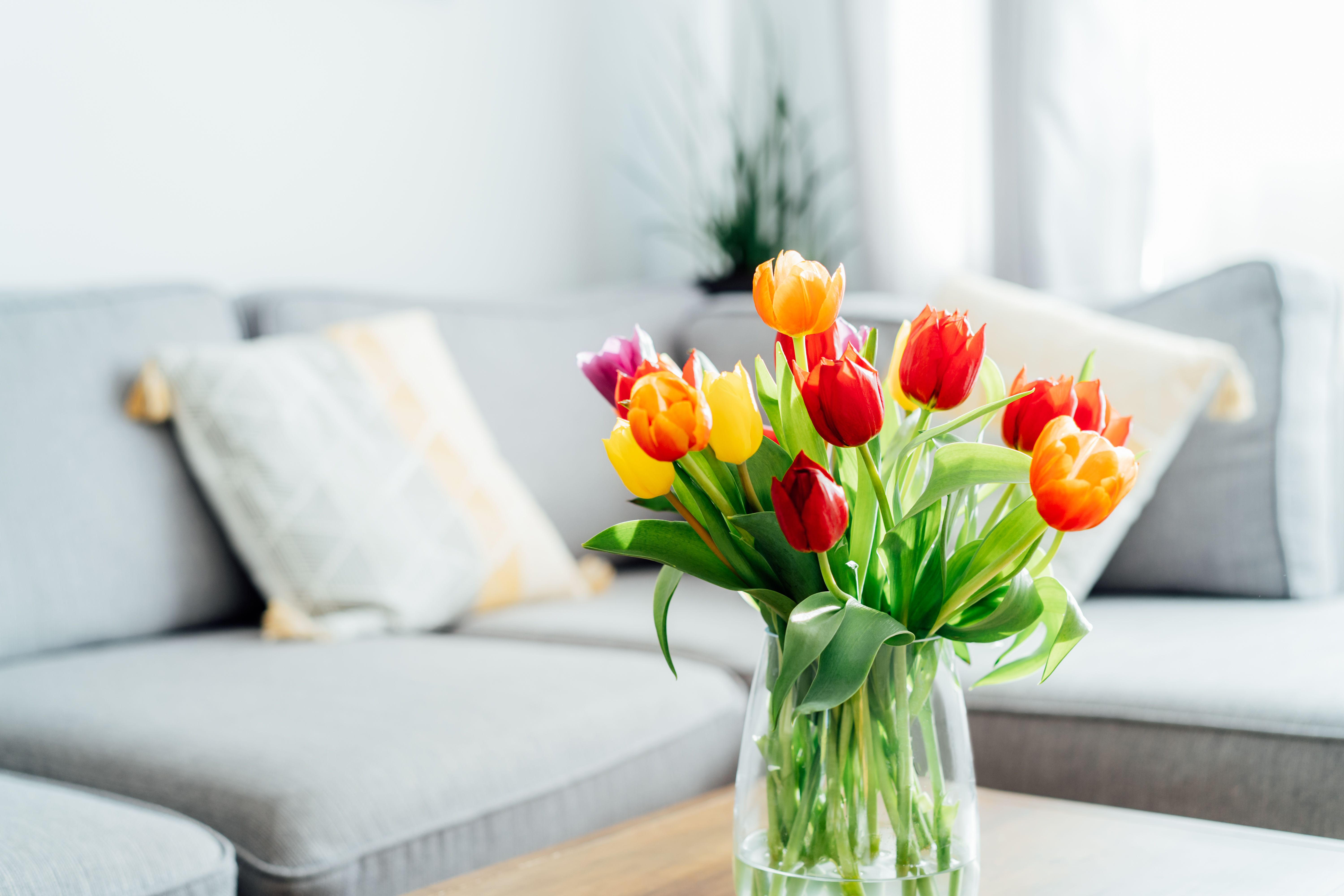flowers in vase