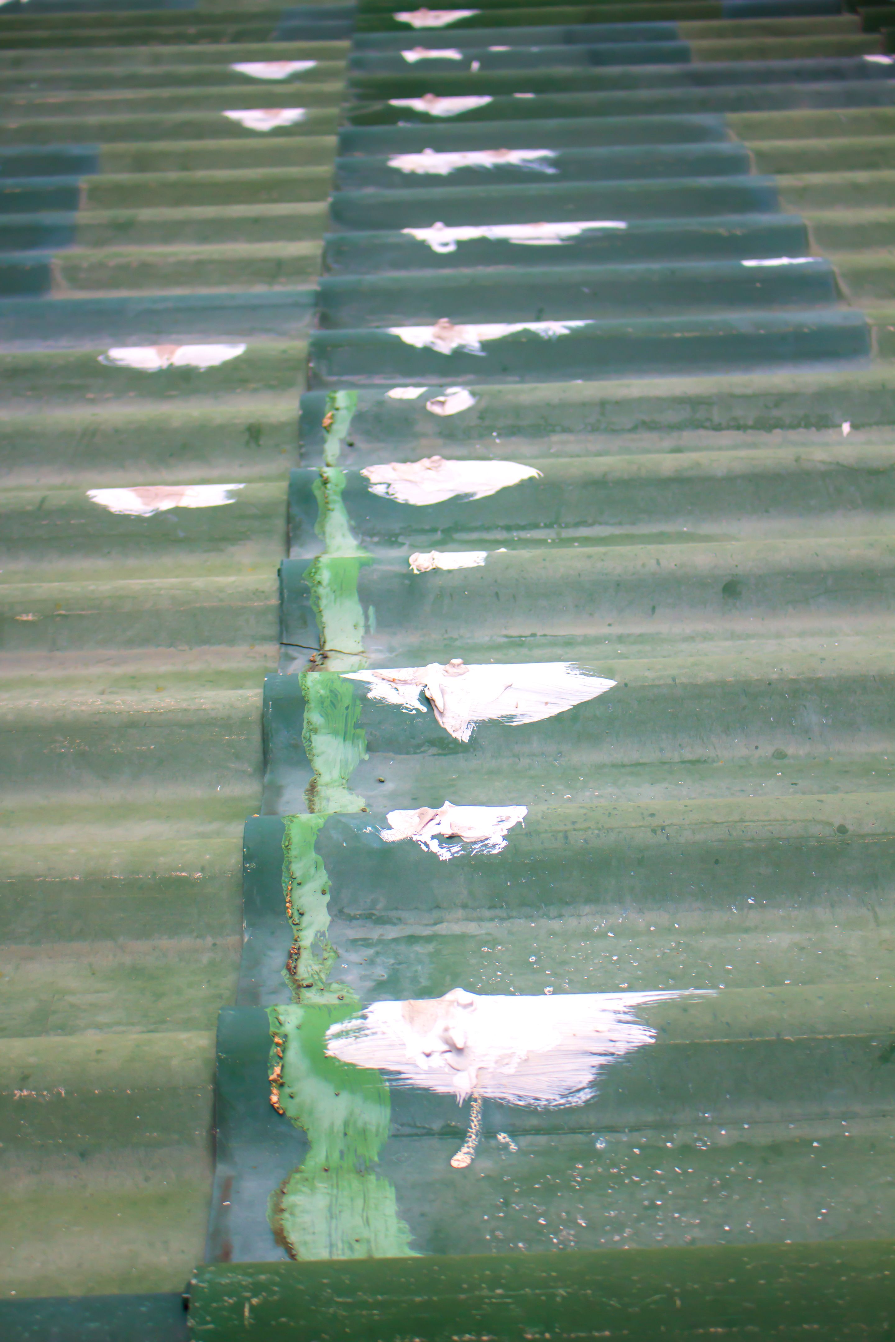 roof seals caulking