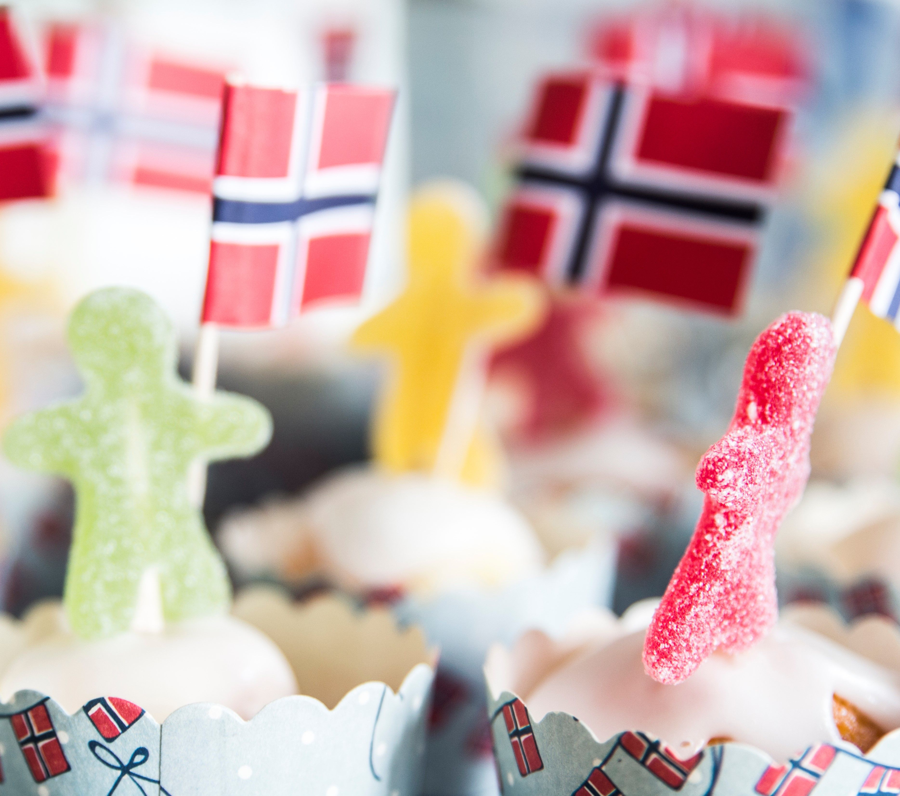 Norway Constitution Day