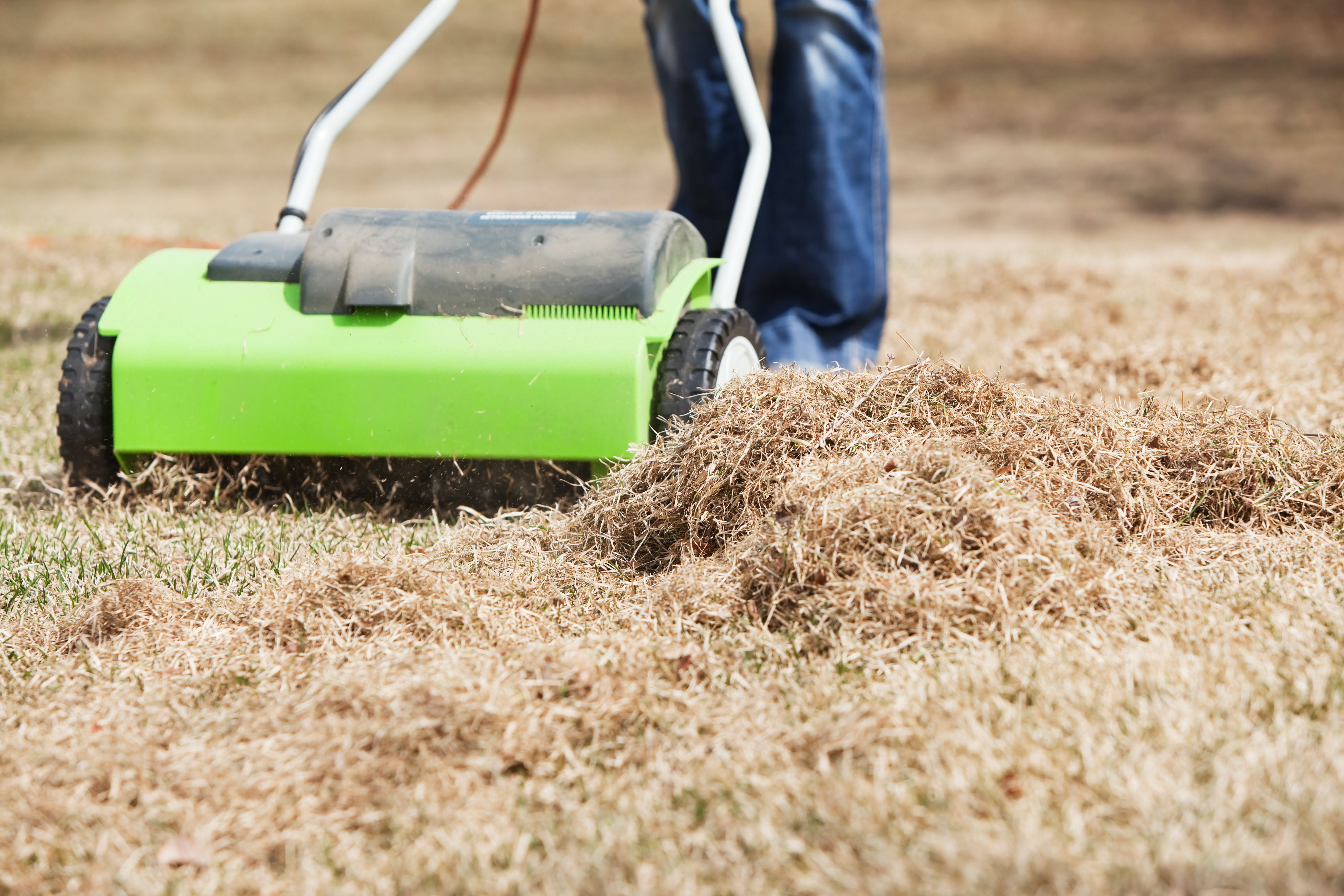 lawn dethatching