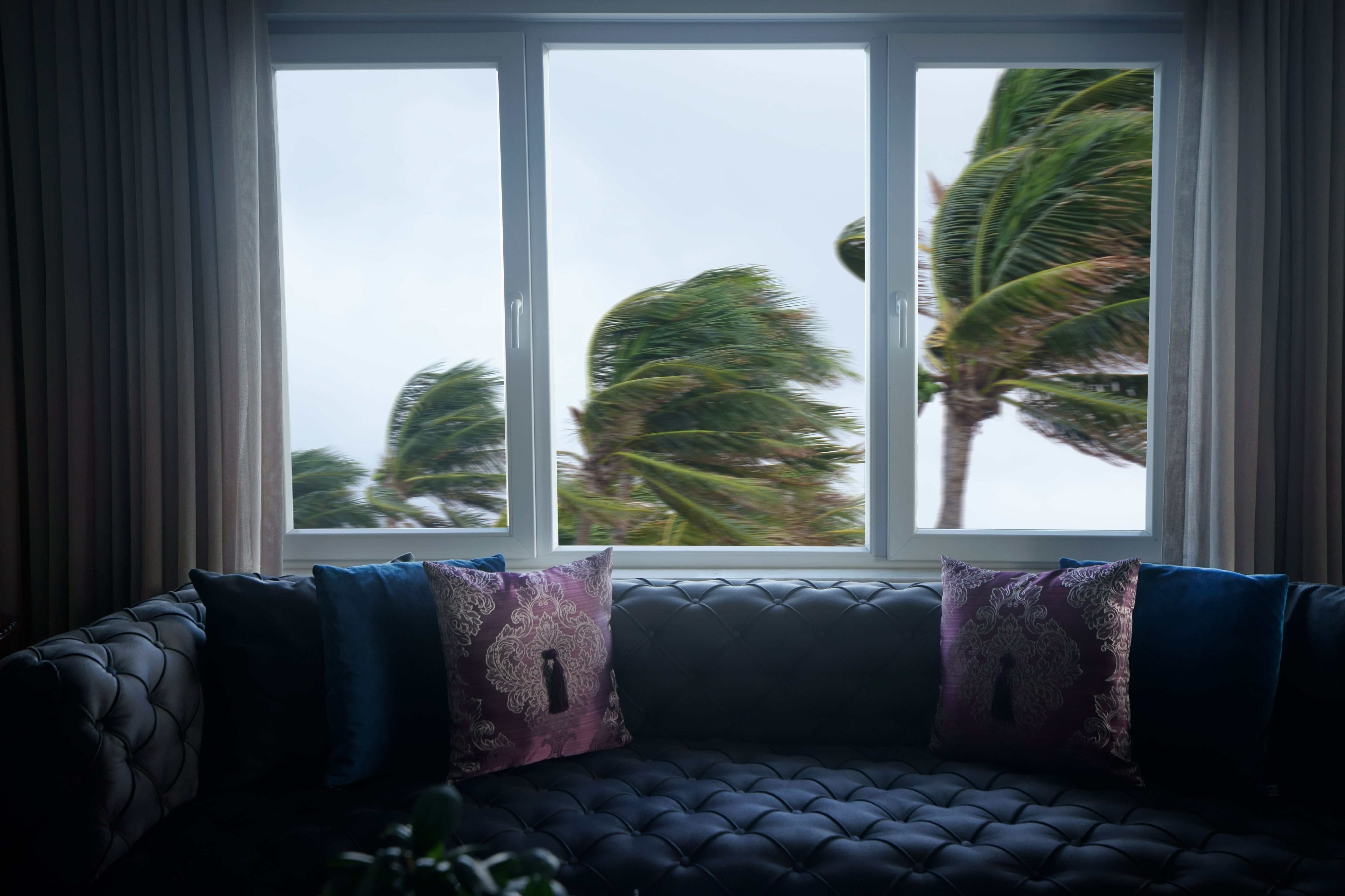 hurricane window