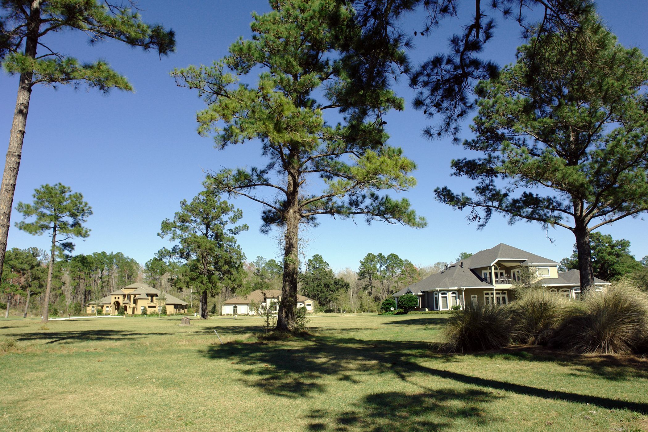 reid plantation homes
