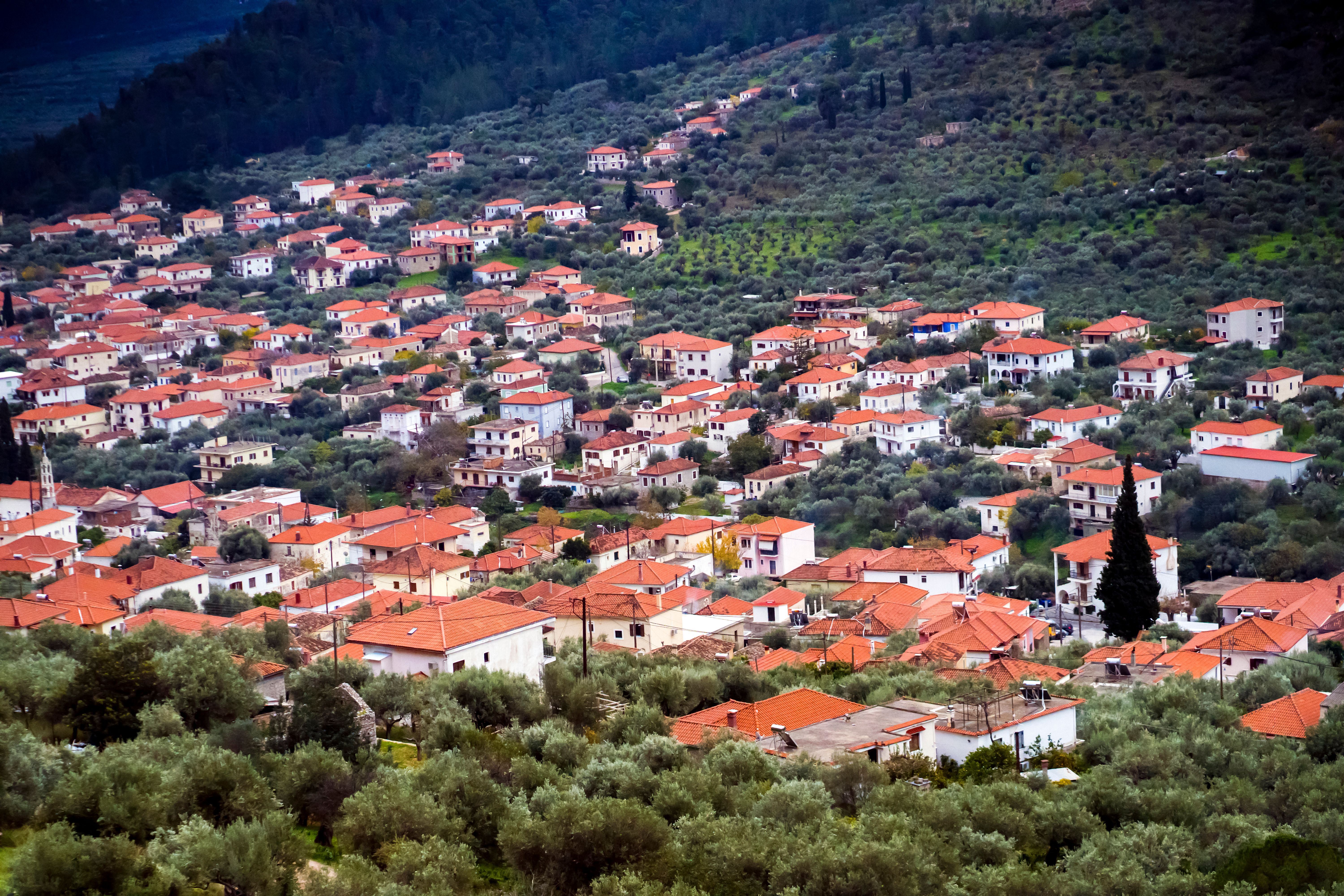 arcadia neighborhood