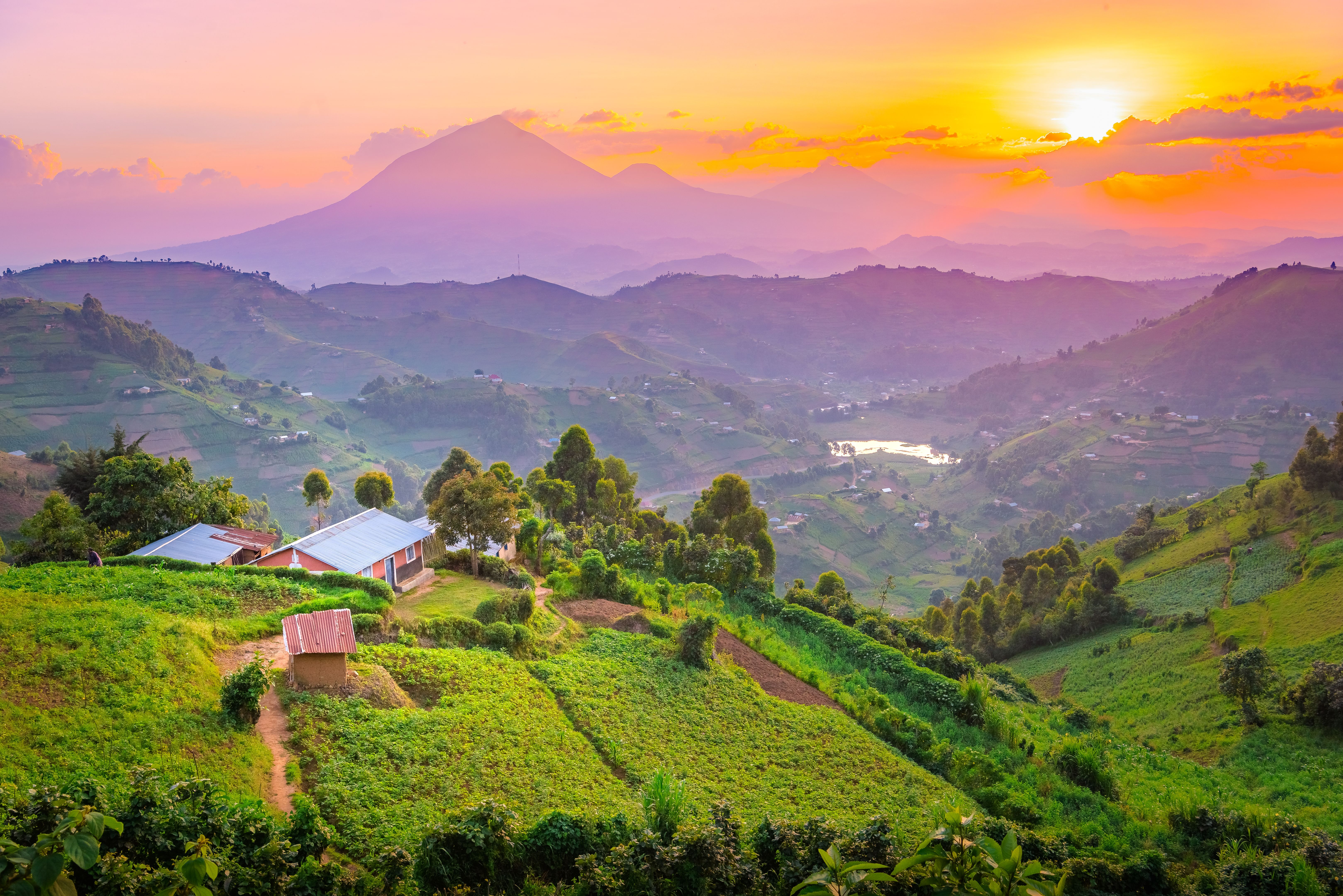 uganda landscape