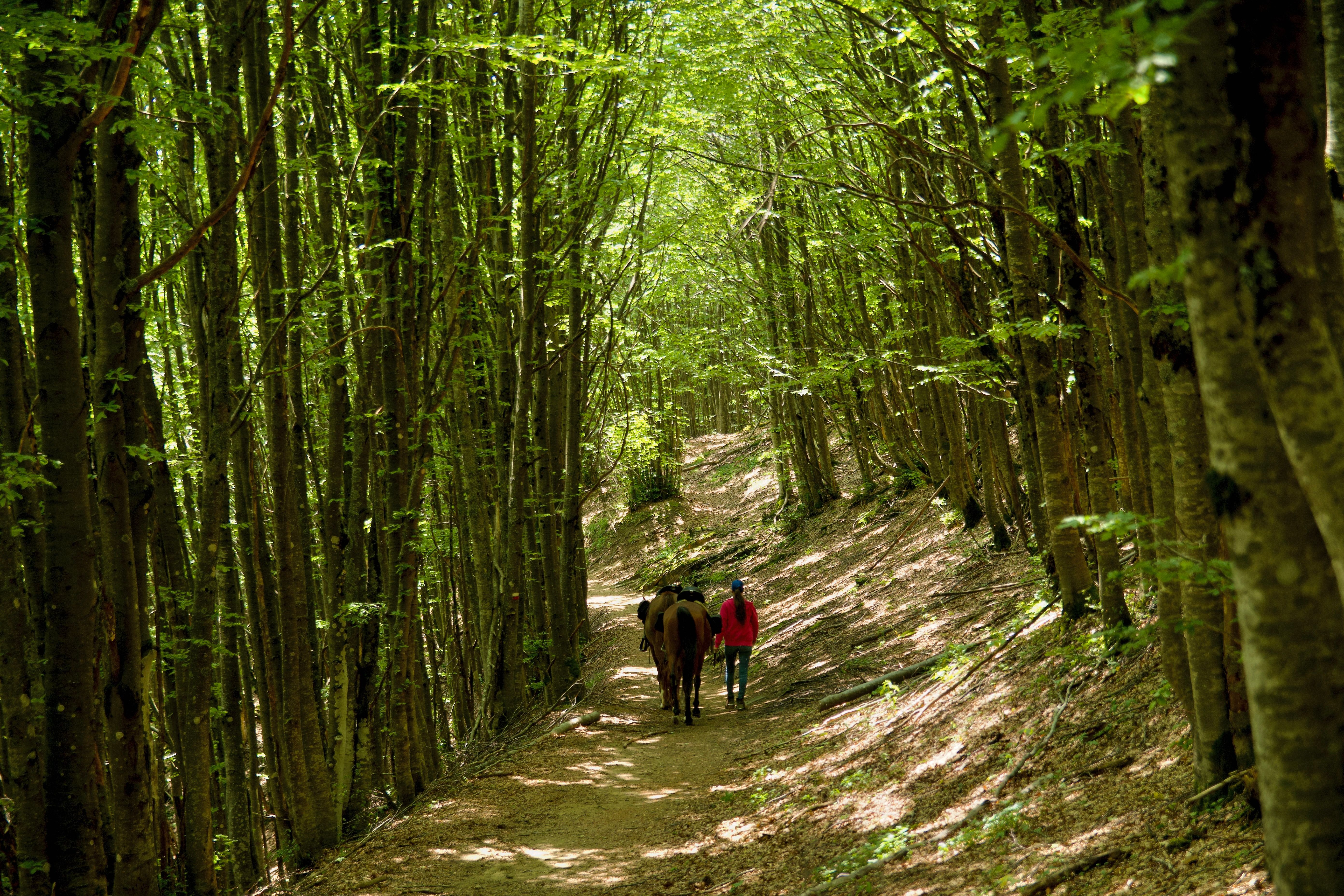 horseback riding tuscany