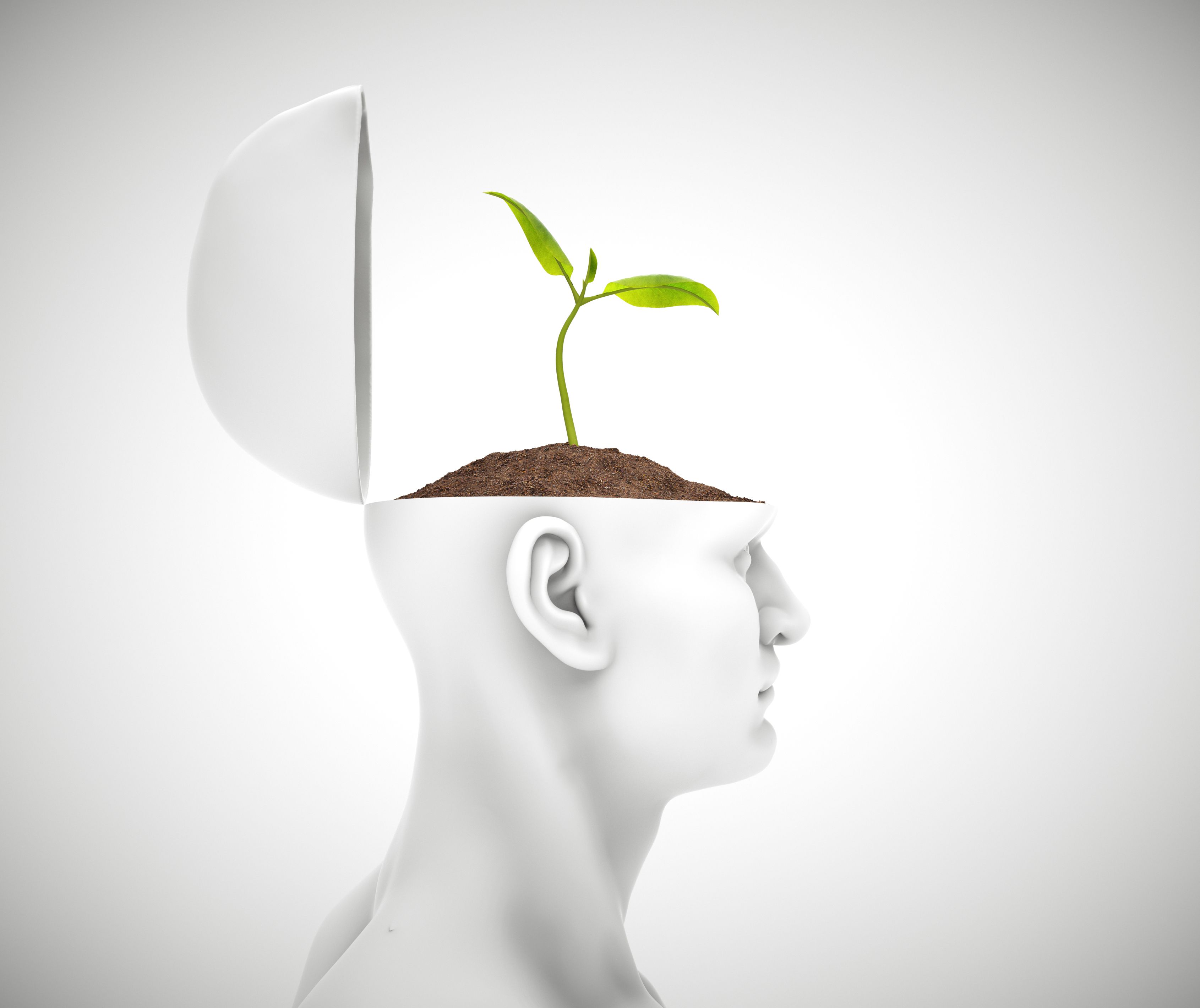 Plant growing from head. Brainstorming, idea, intelligence concept. Plant growing from head. Brainstorming, idea, intelligence concept.