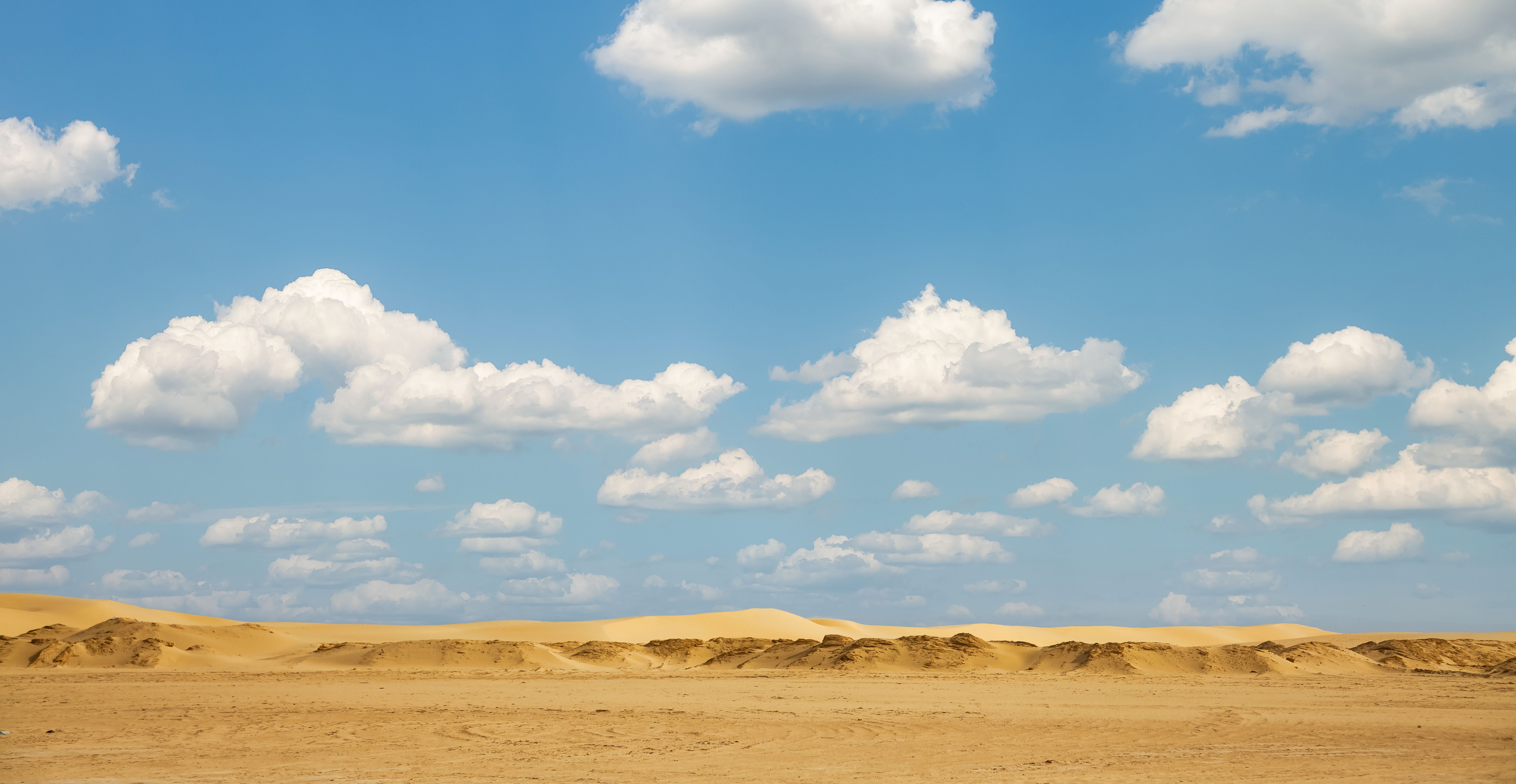 desert sunny day