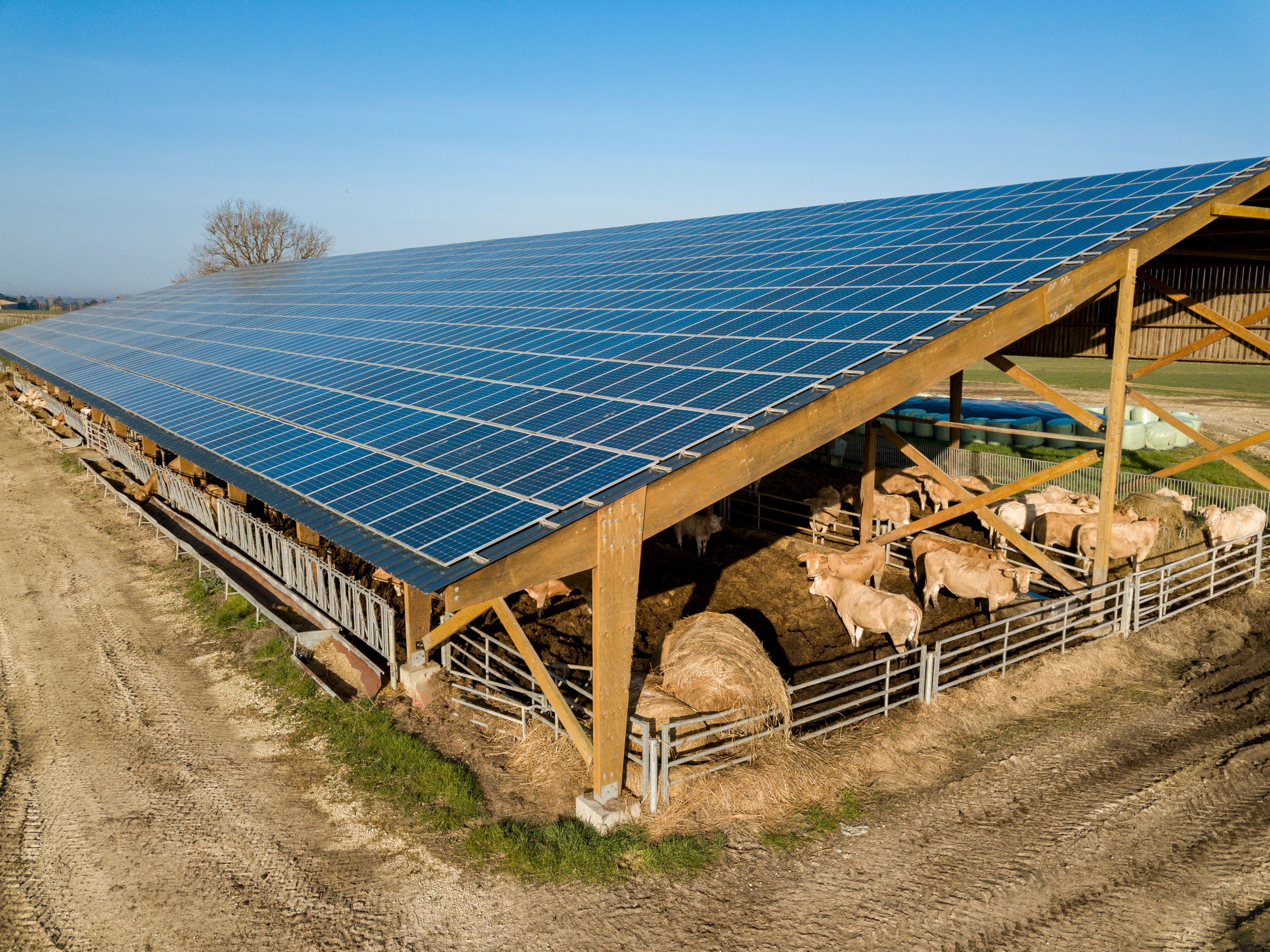 farm robot solar