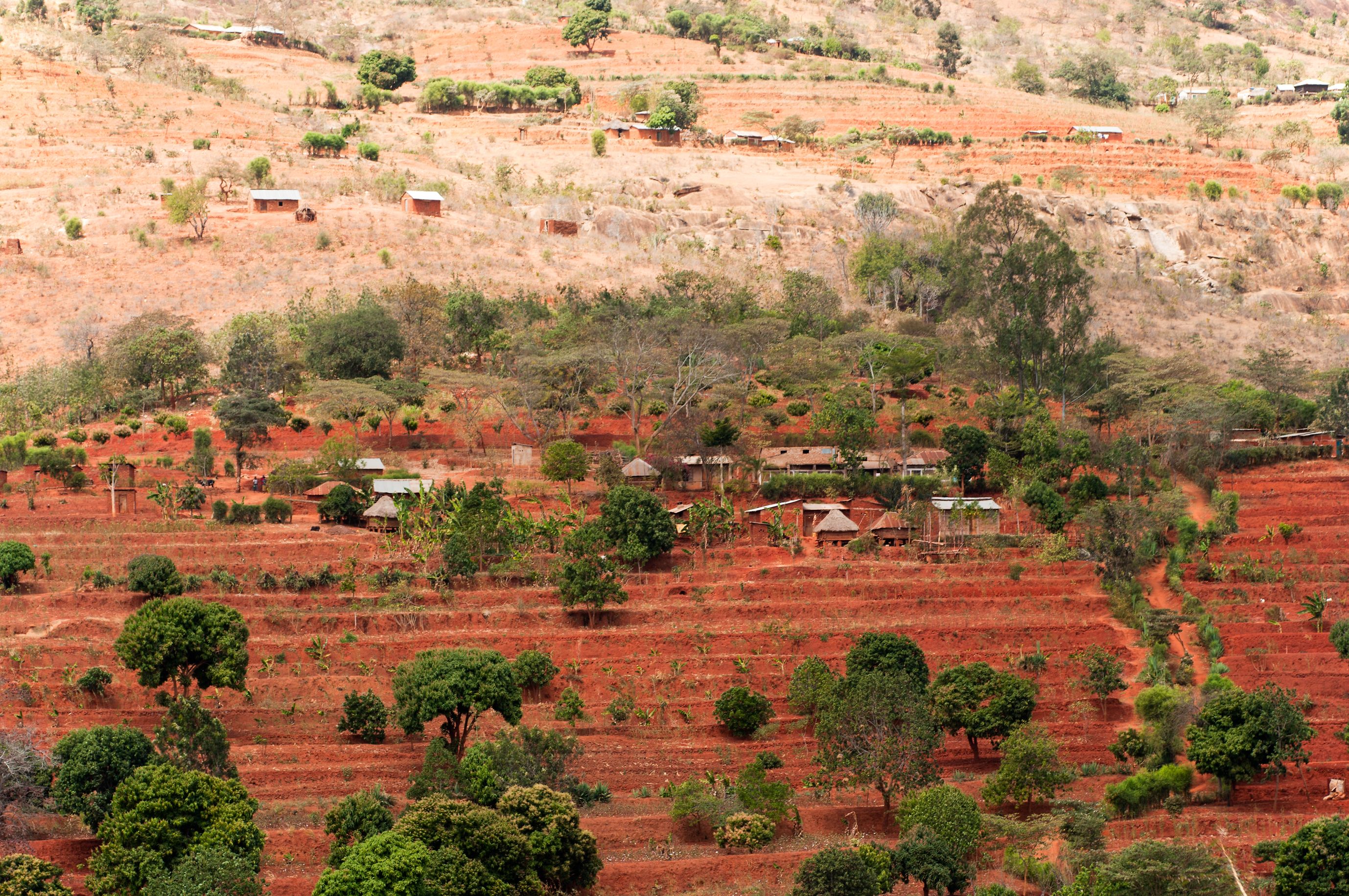 terracing agriculture