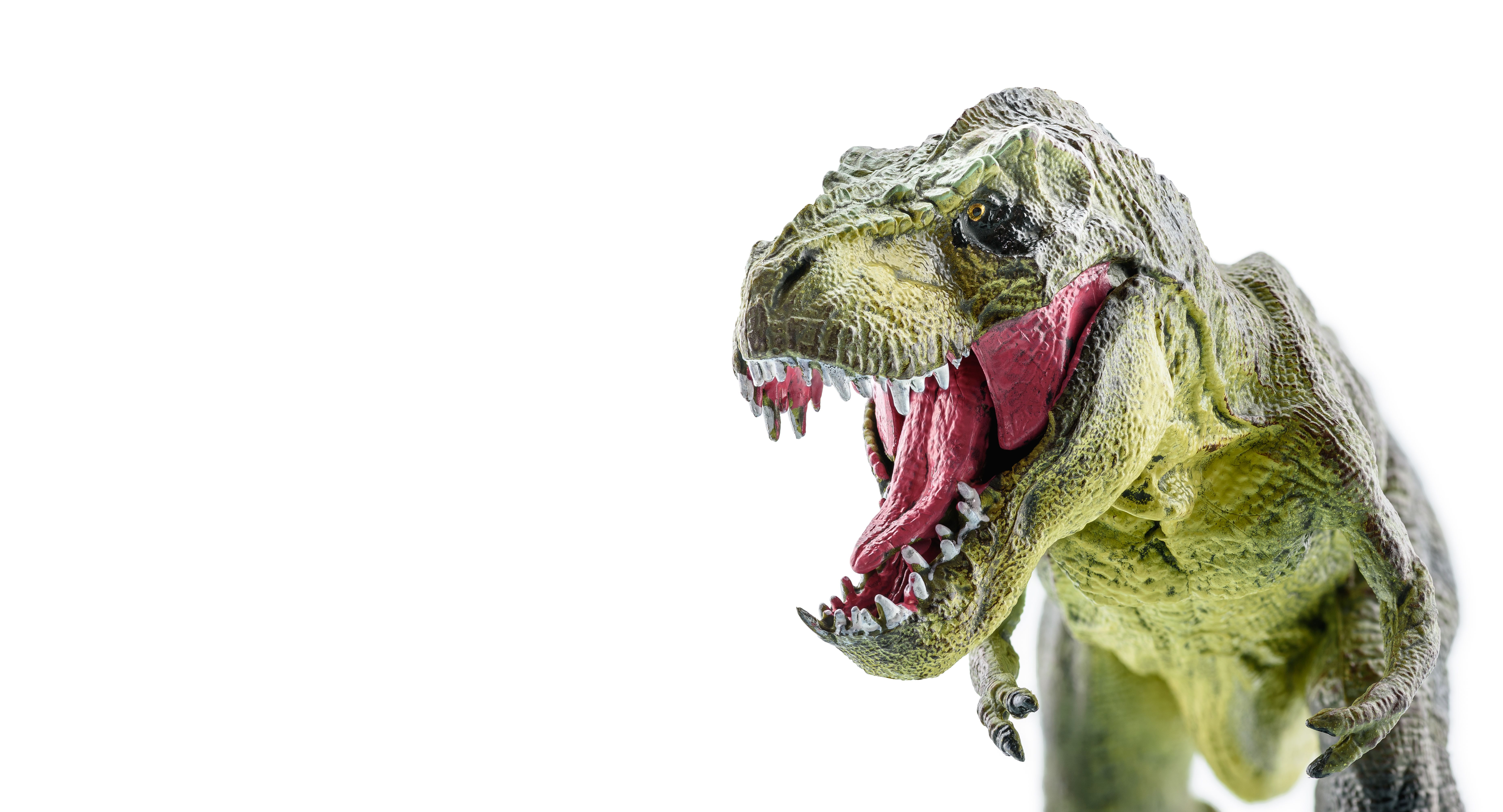 family dinosaur event