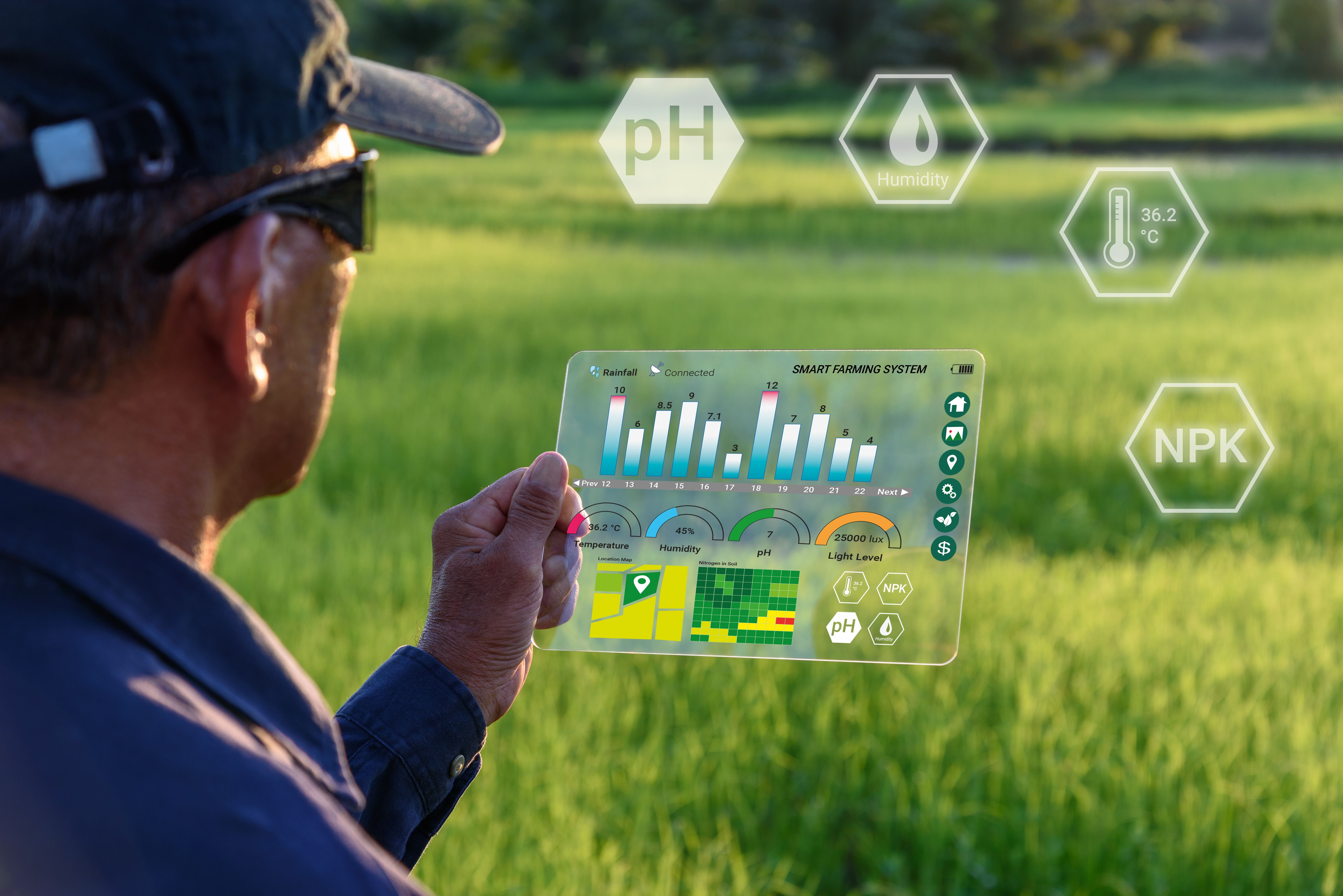 crop monitoring