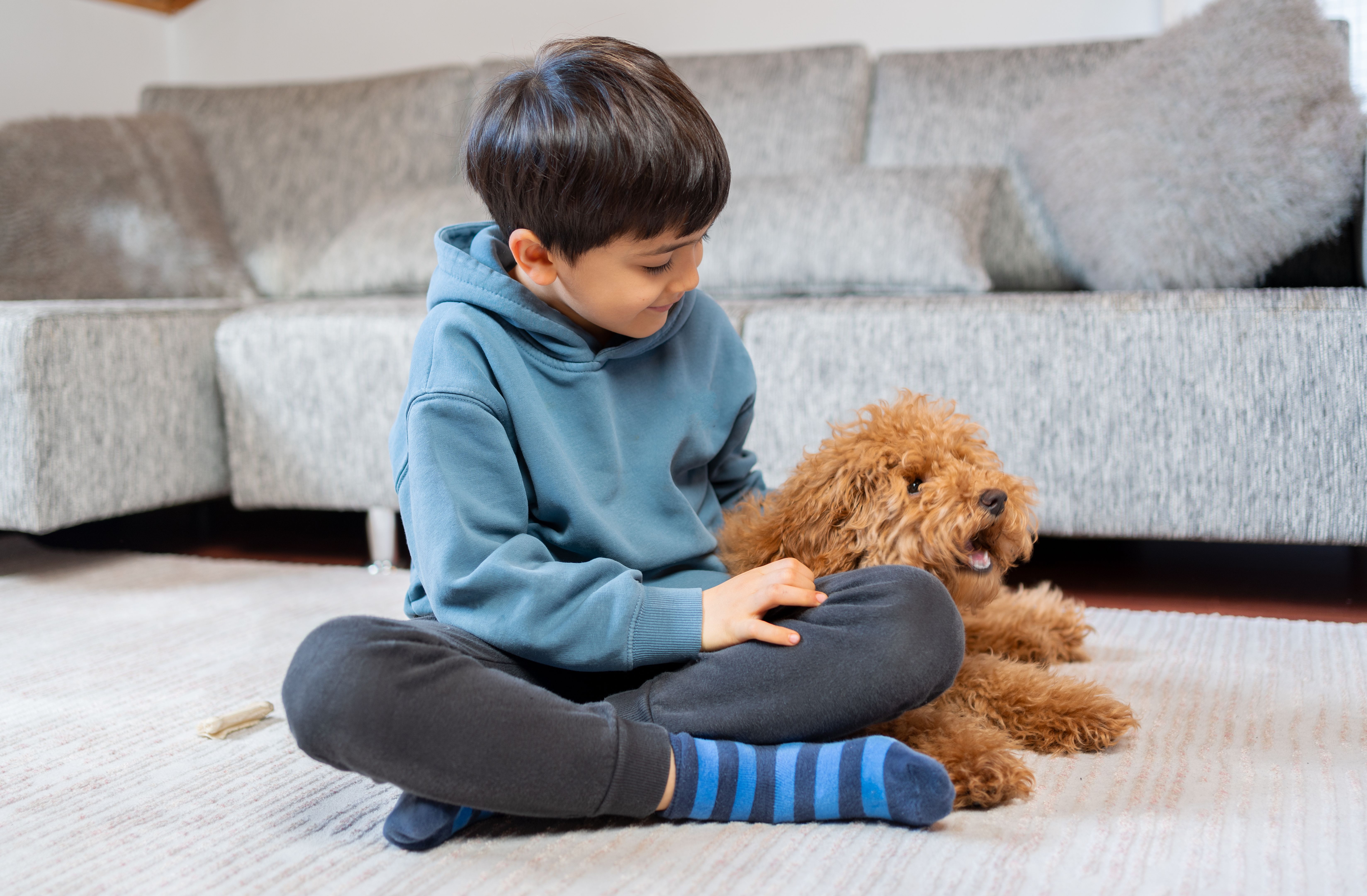 emotional support dog