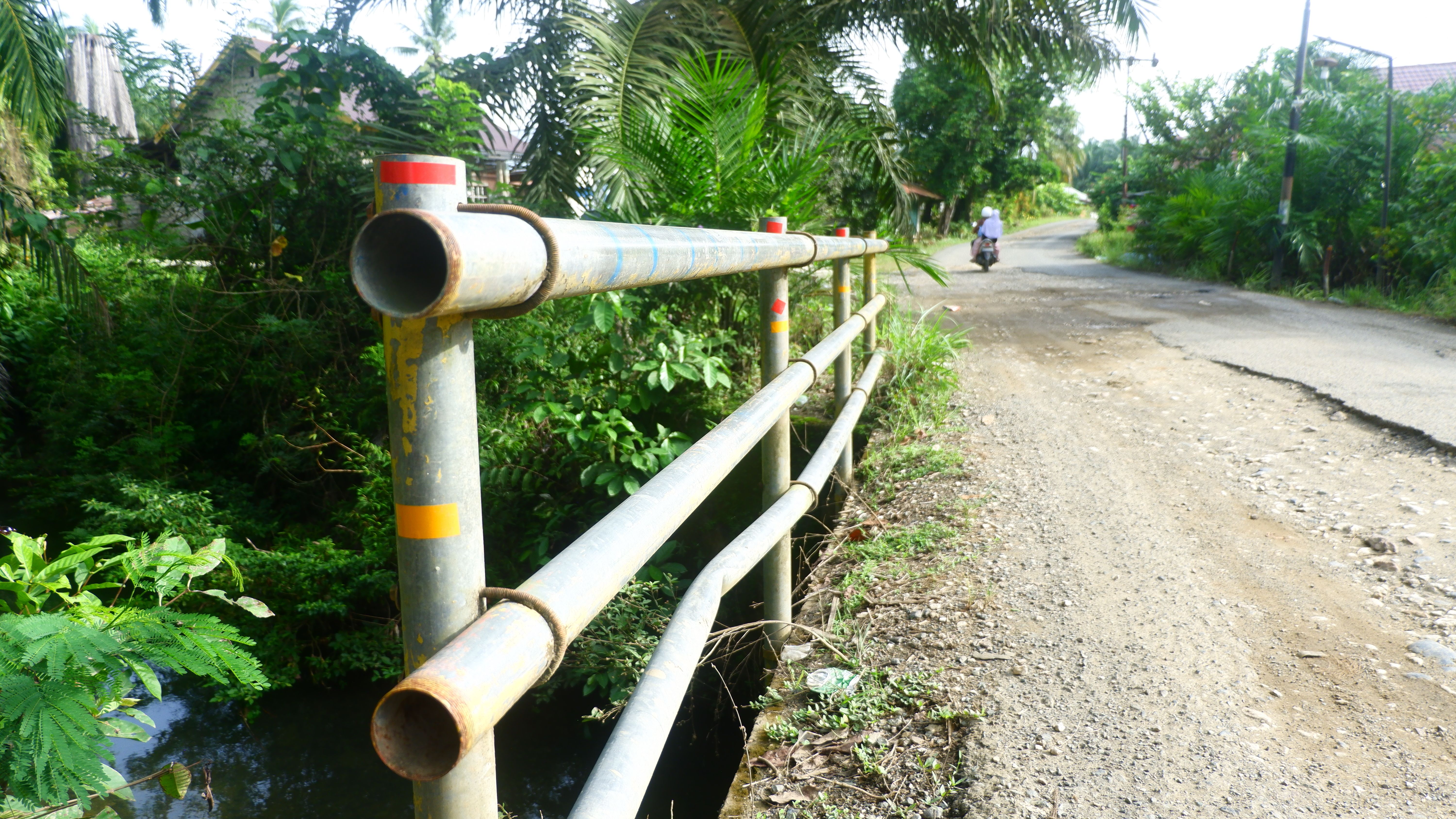 landscaping decision