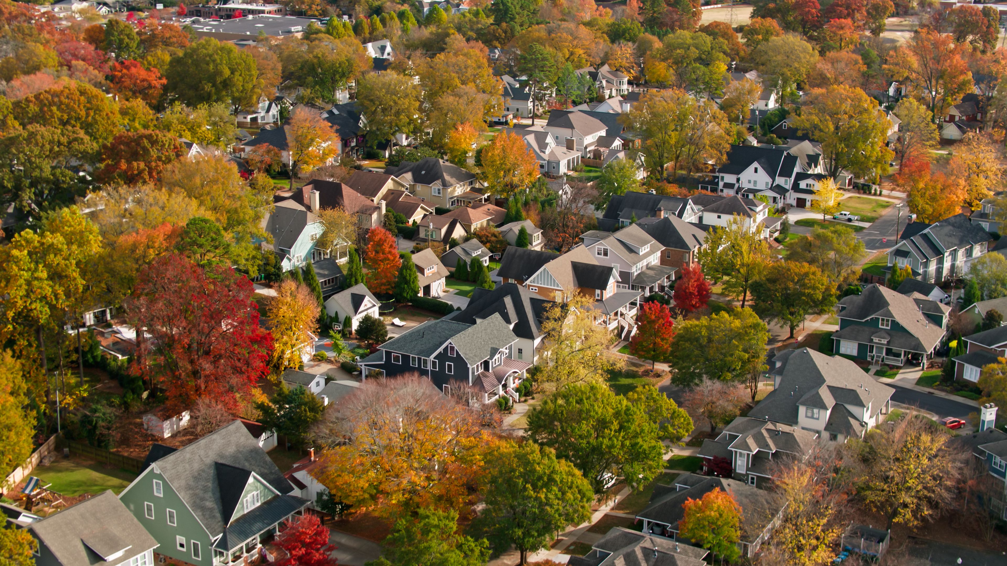 autumn leaves charlotte