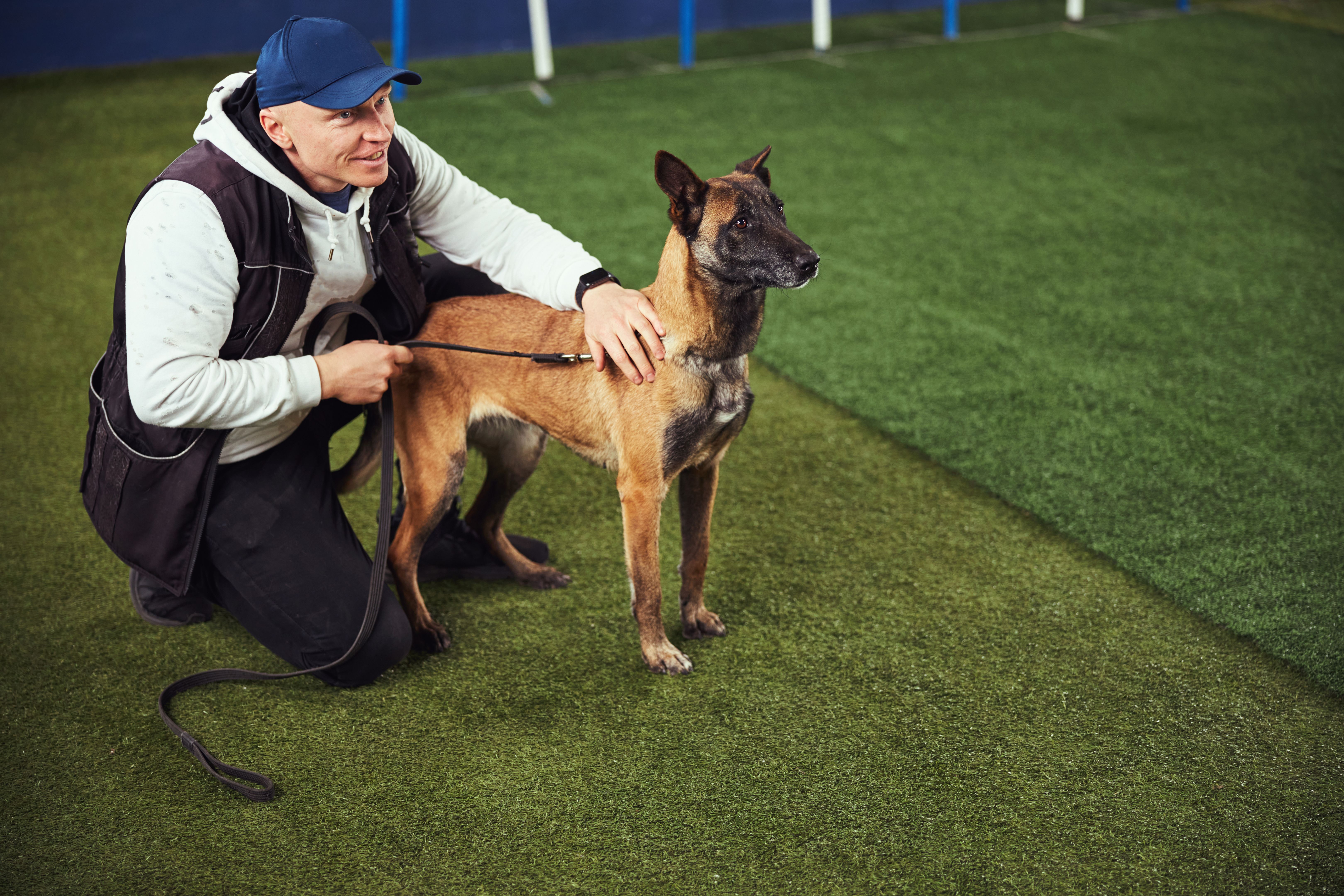 Contented trainer and a Belgian Malinois in the obedience school