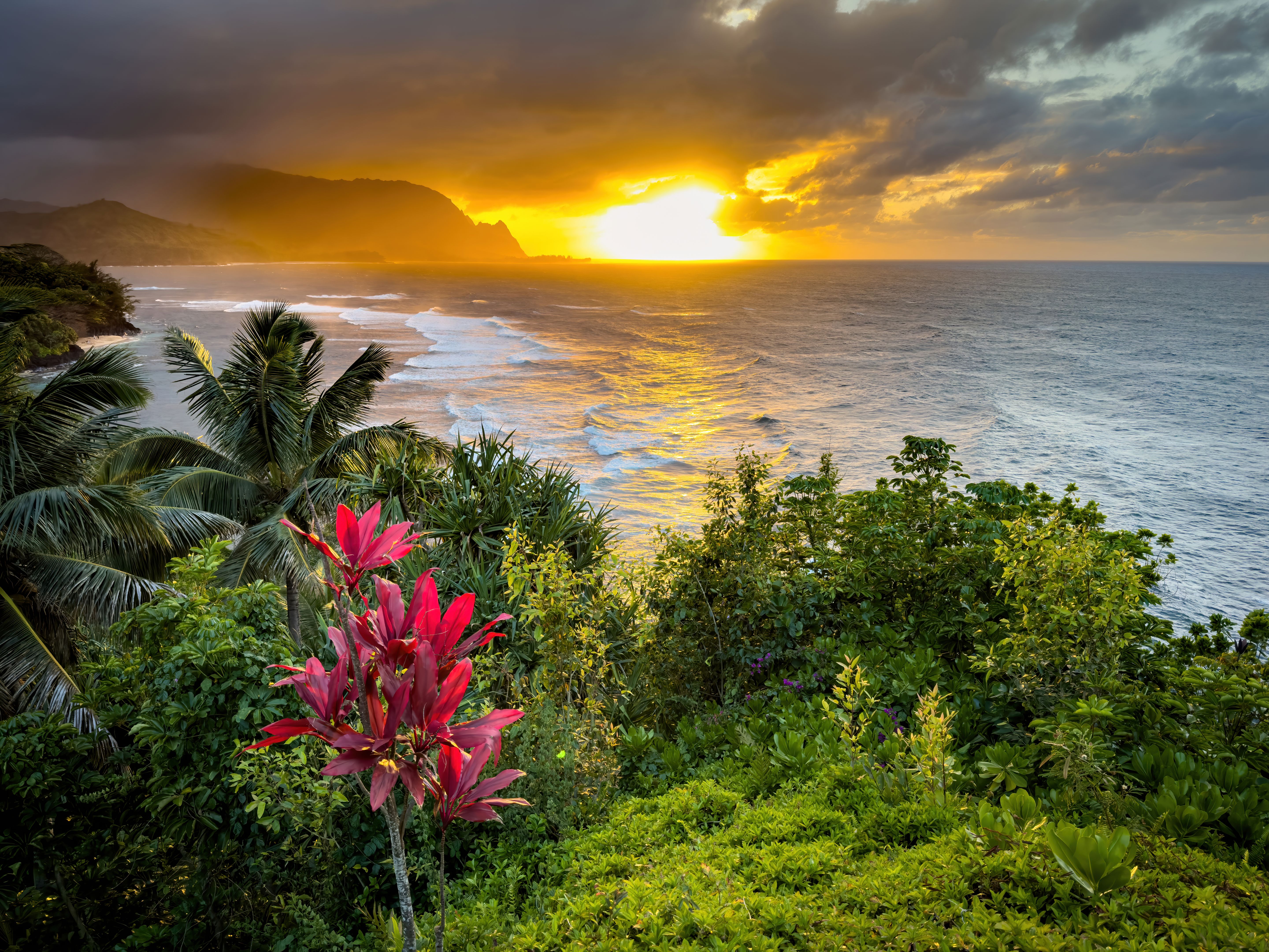 hawaii landscape