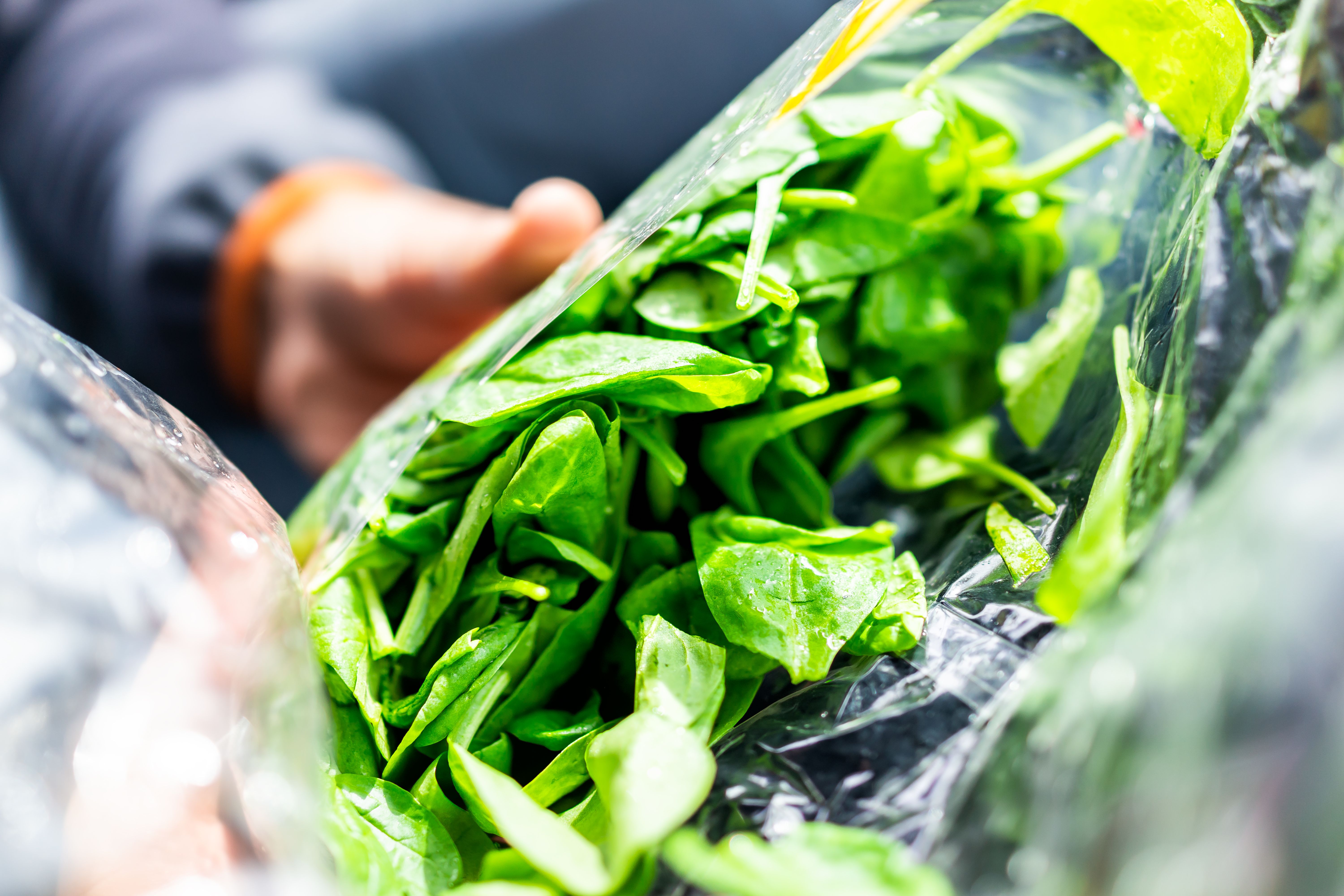 buying spinach tips