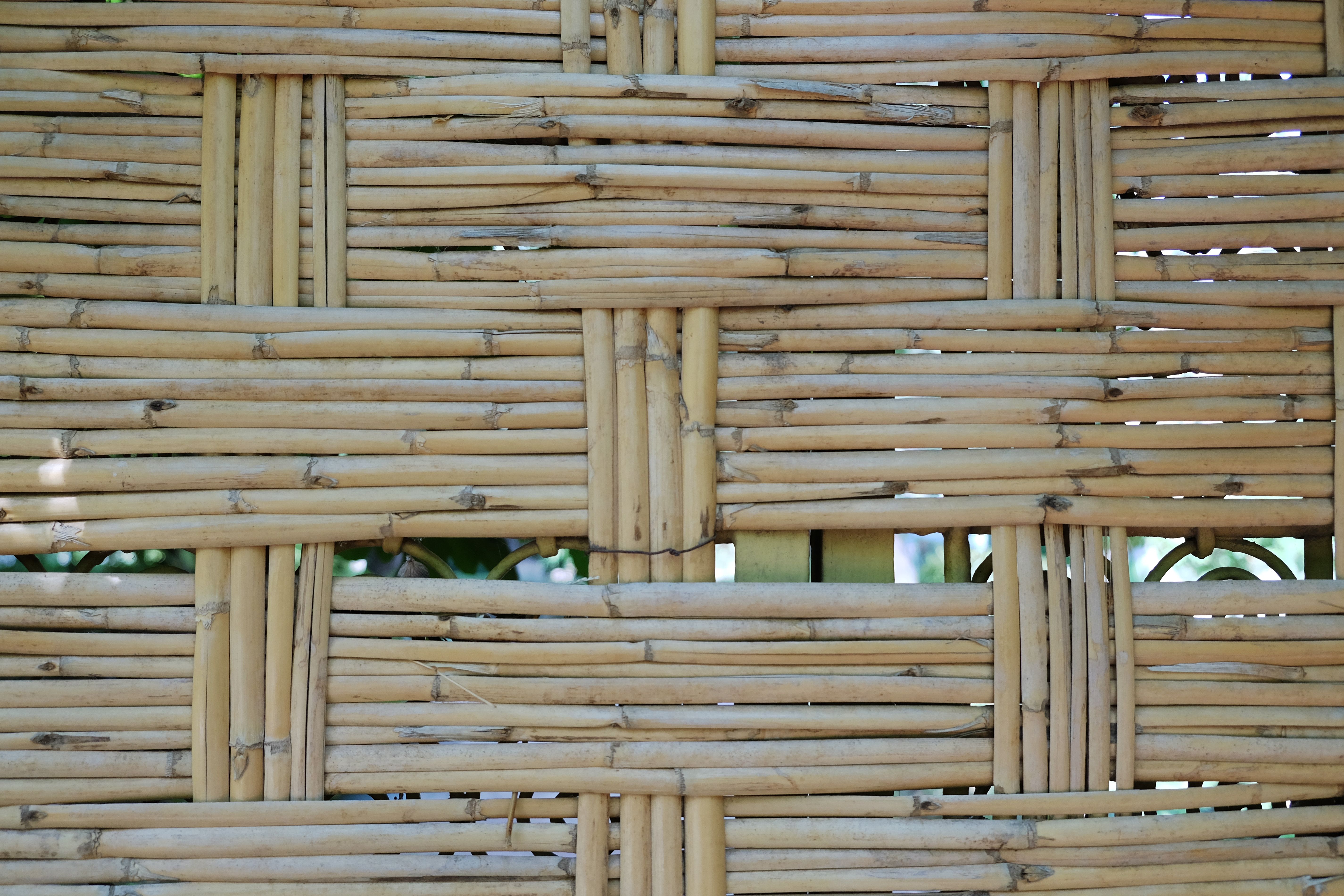 bamboo building