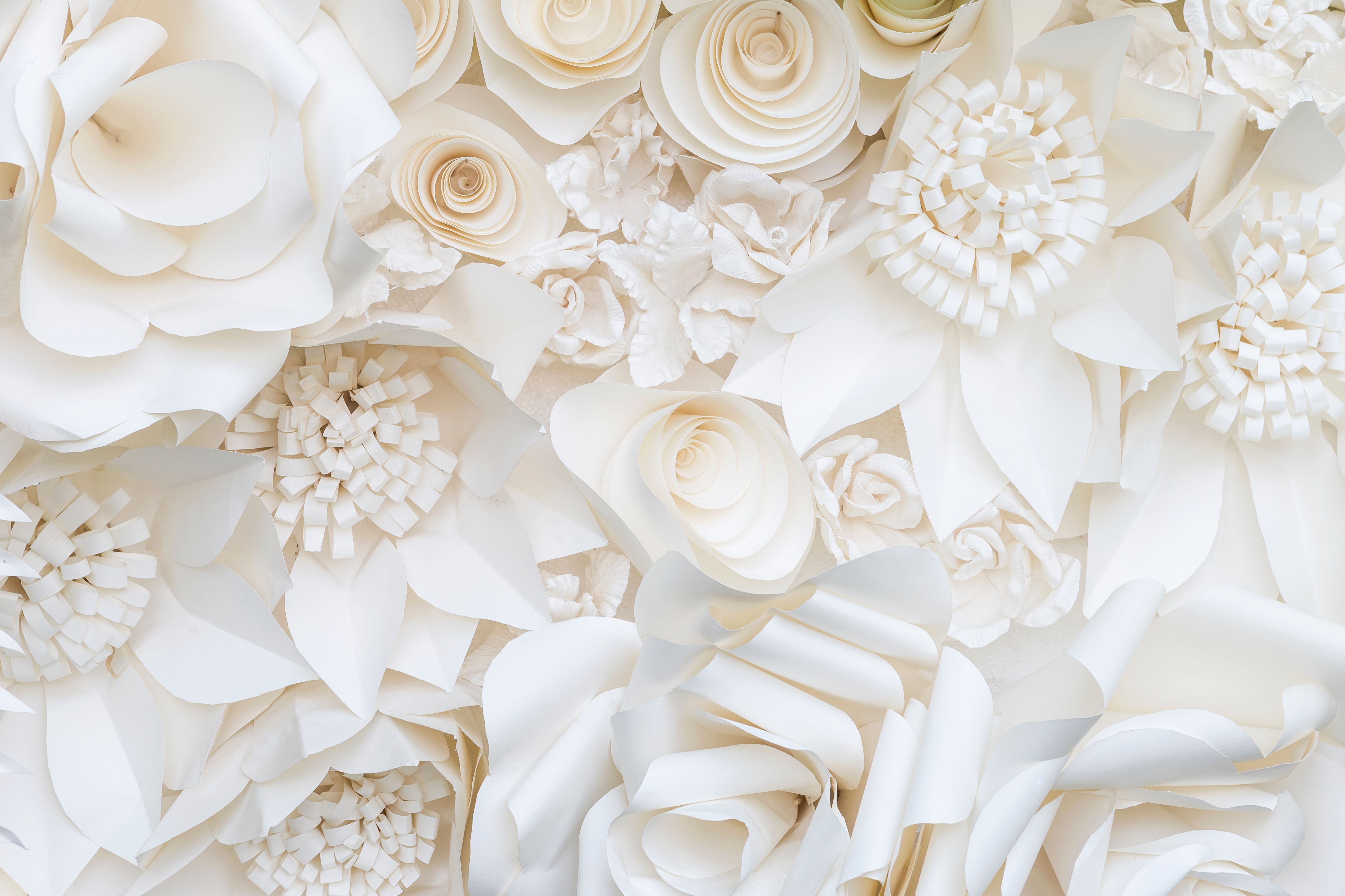 paper white flowers