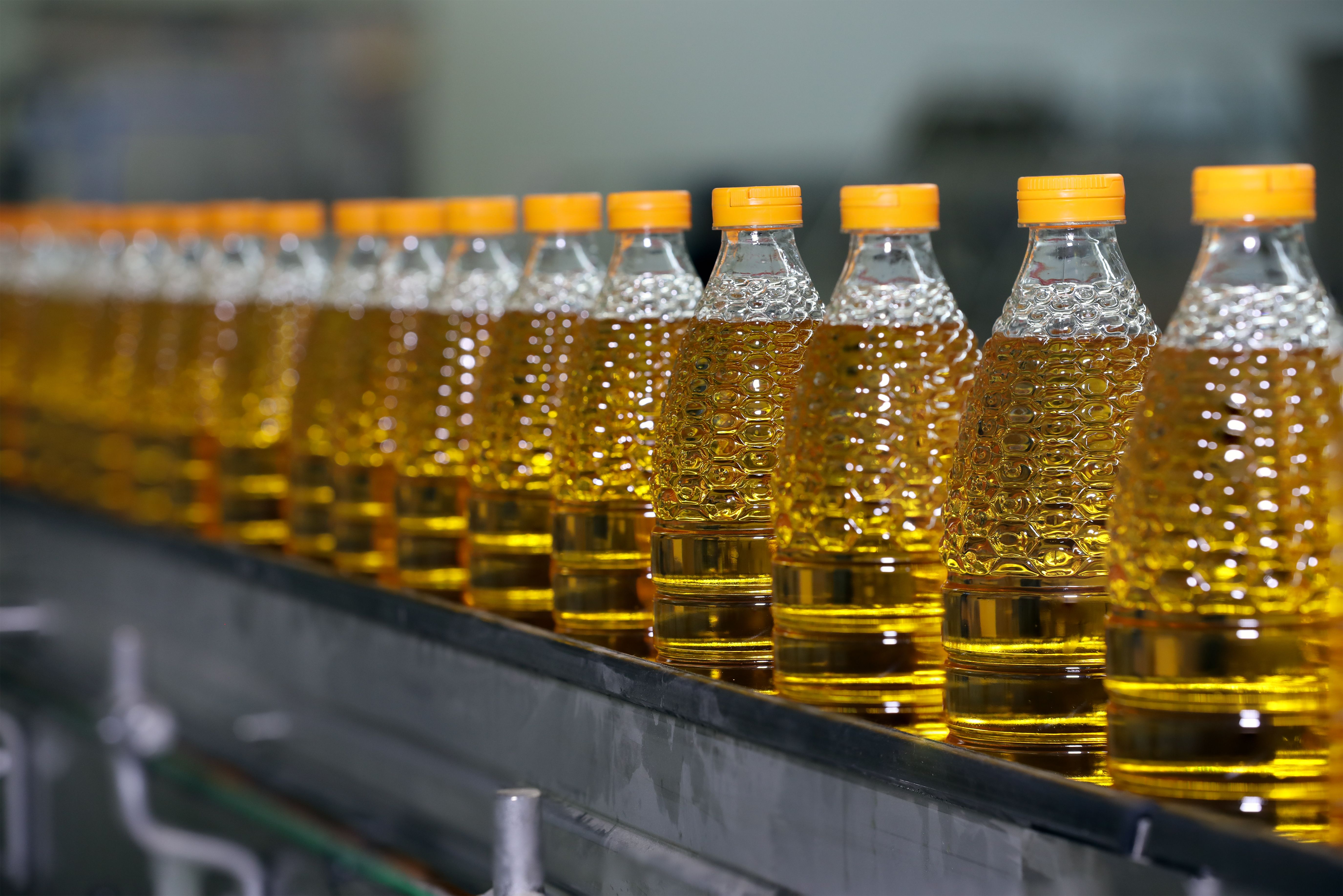 seed oil processing