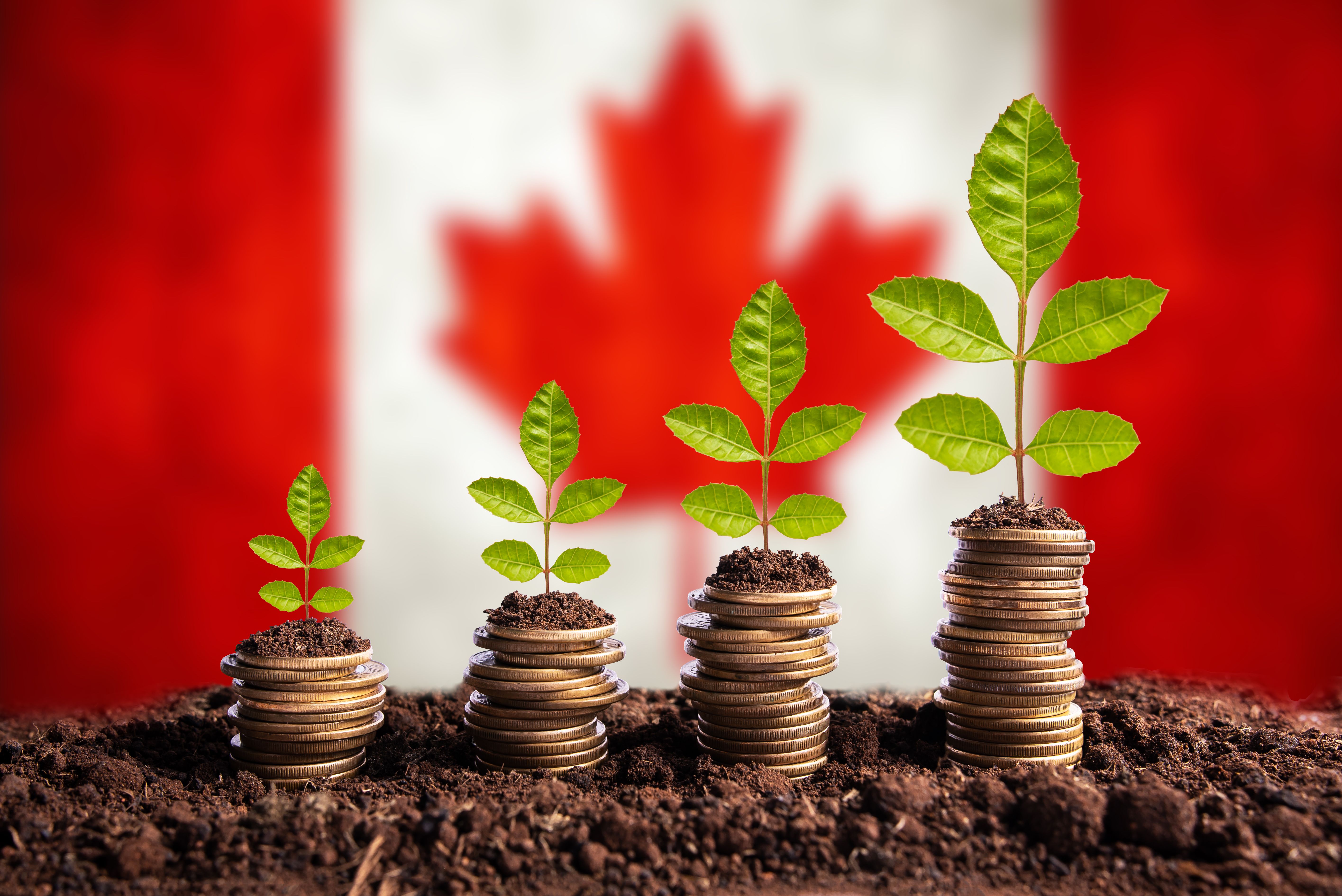 canadian venture investments